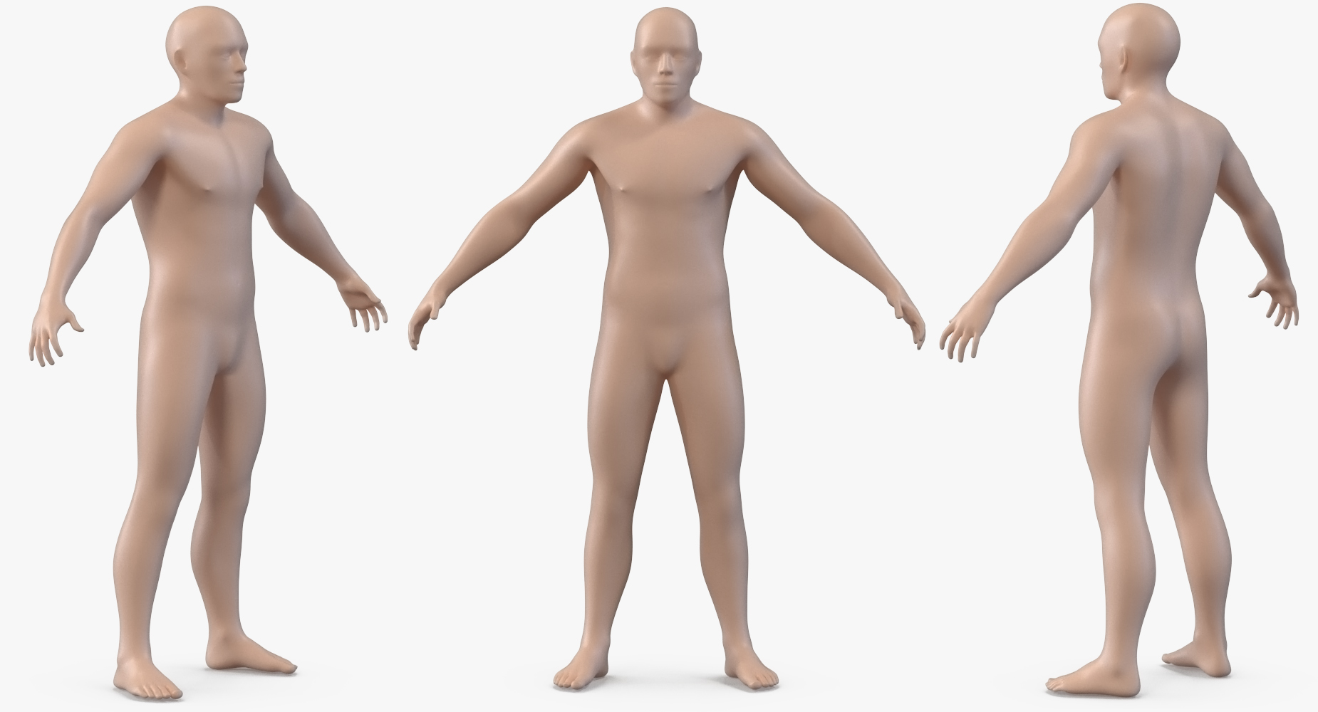 3D Male Body with Skeleton model