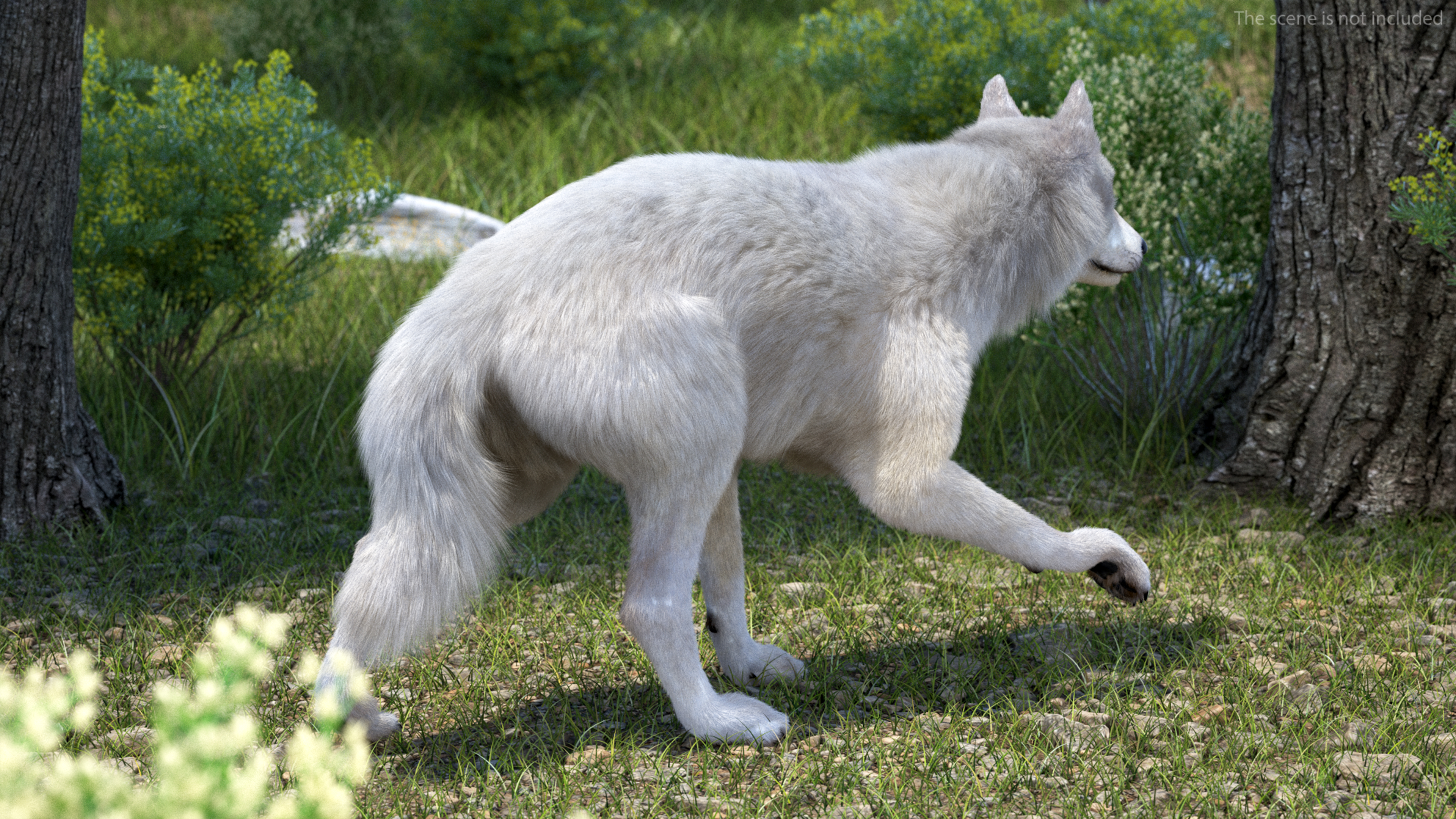 Arctic Wolf Fur Rigged 3D