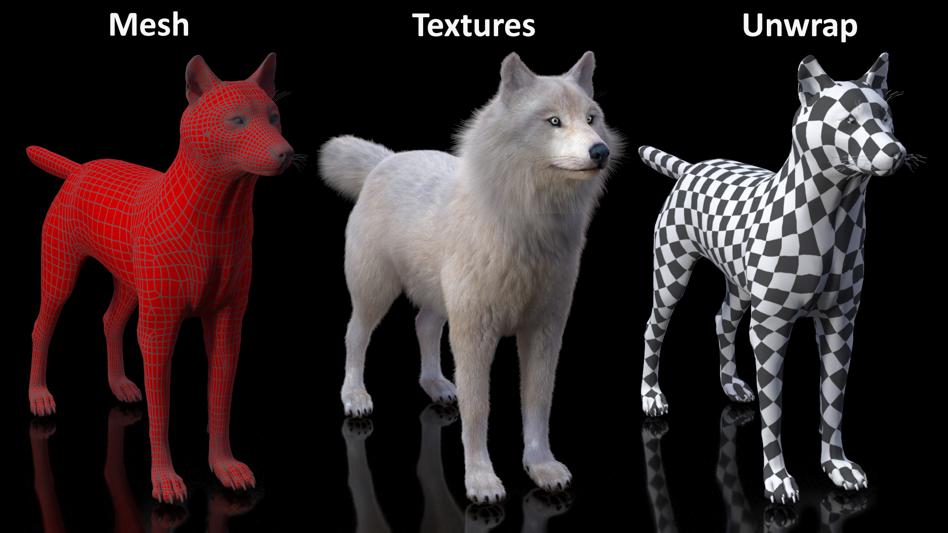Arctic Wolf Fur Rigged 3D