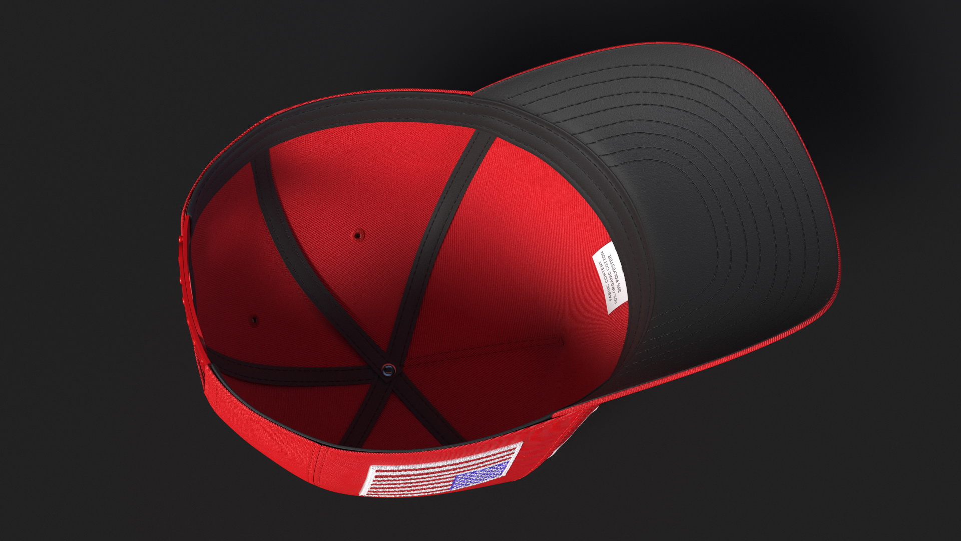 Republican Party Elephant Icon on Trump Baseball Cap 3D