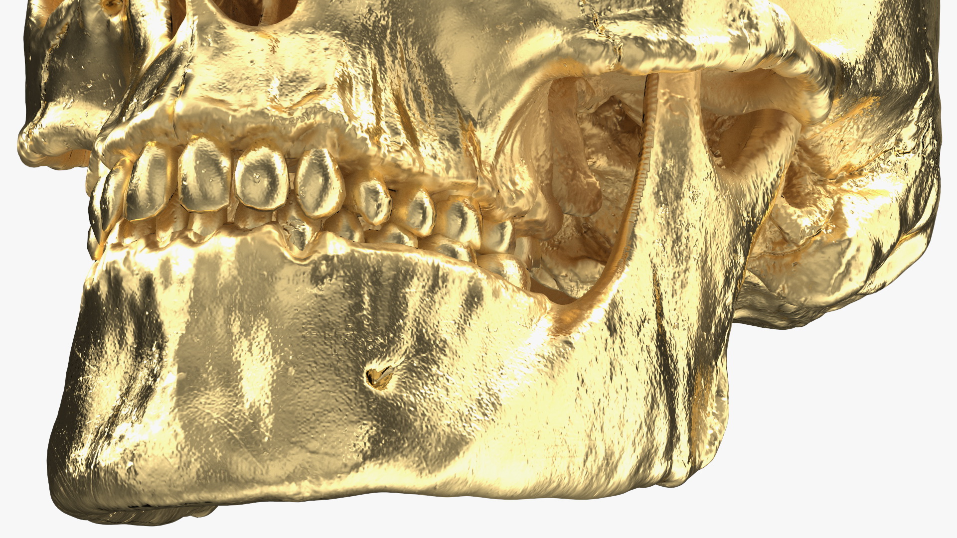 Female Human Skull Gold Metal 3D model