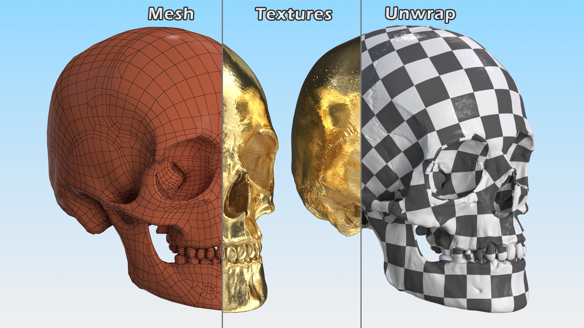 Female Human Skull Gold Metal 3D model
