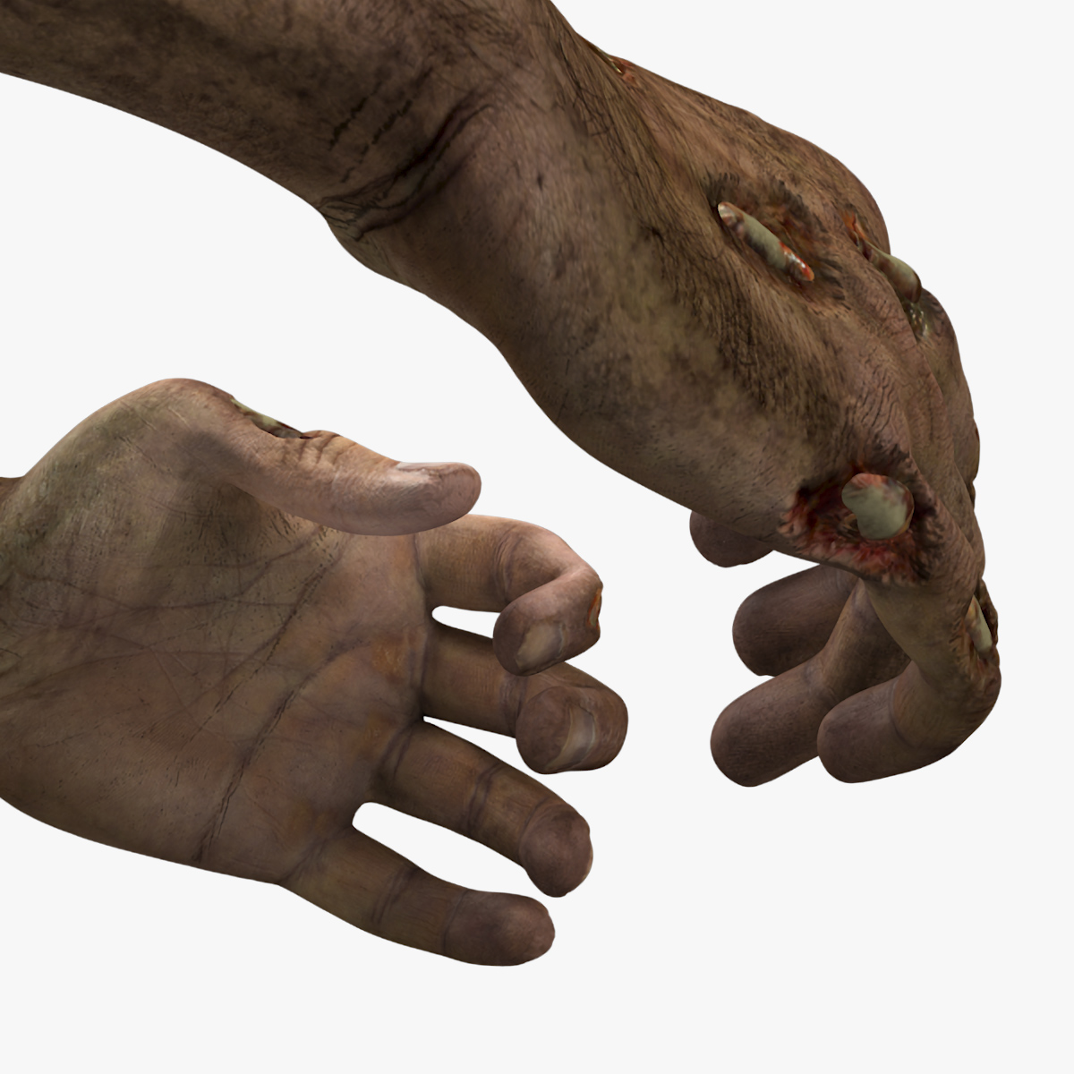 Realistic Zombie Hands Rigged 3D model