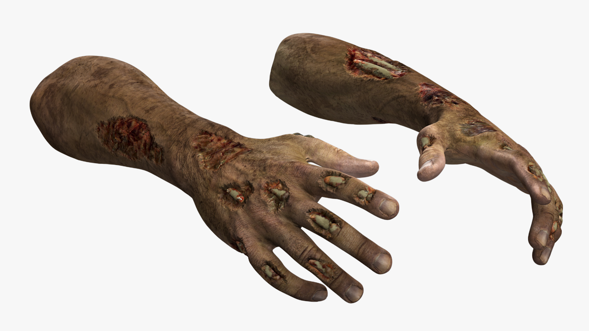 Realistic Zombie Hands Rigged 3D model
