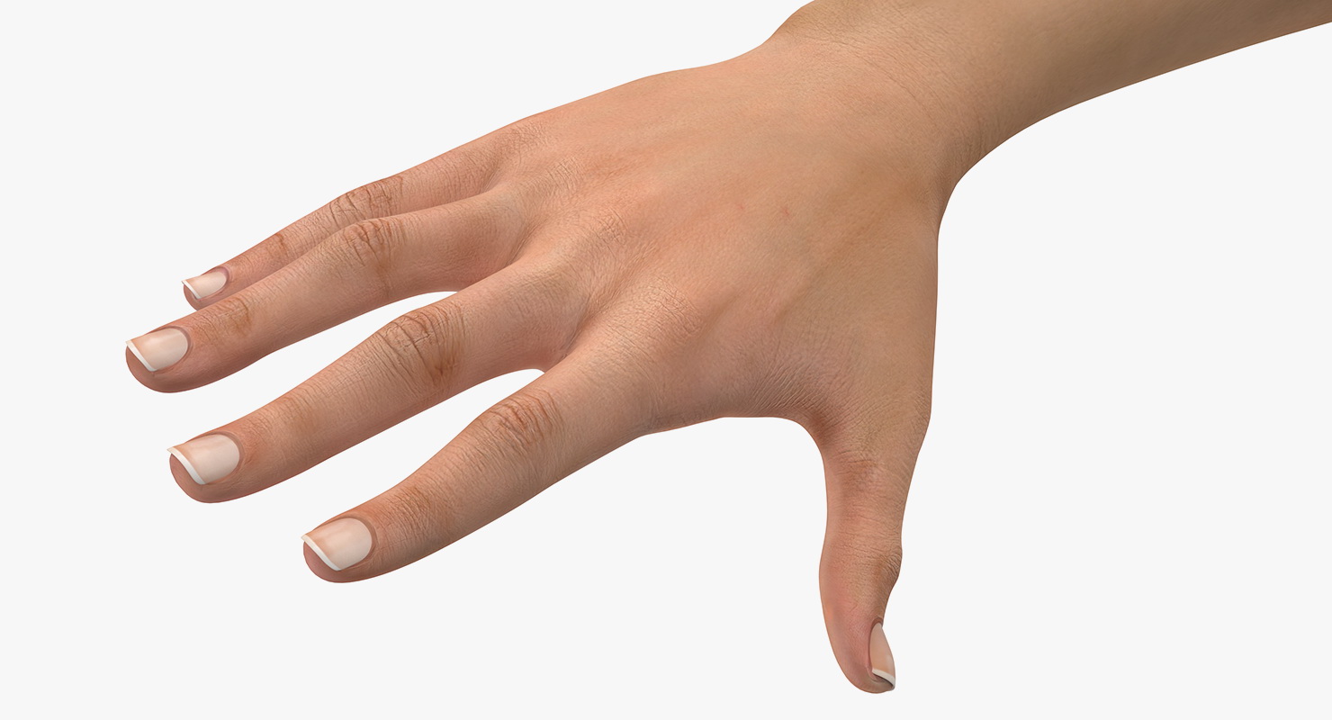 Australoid Female Hand 3D
