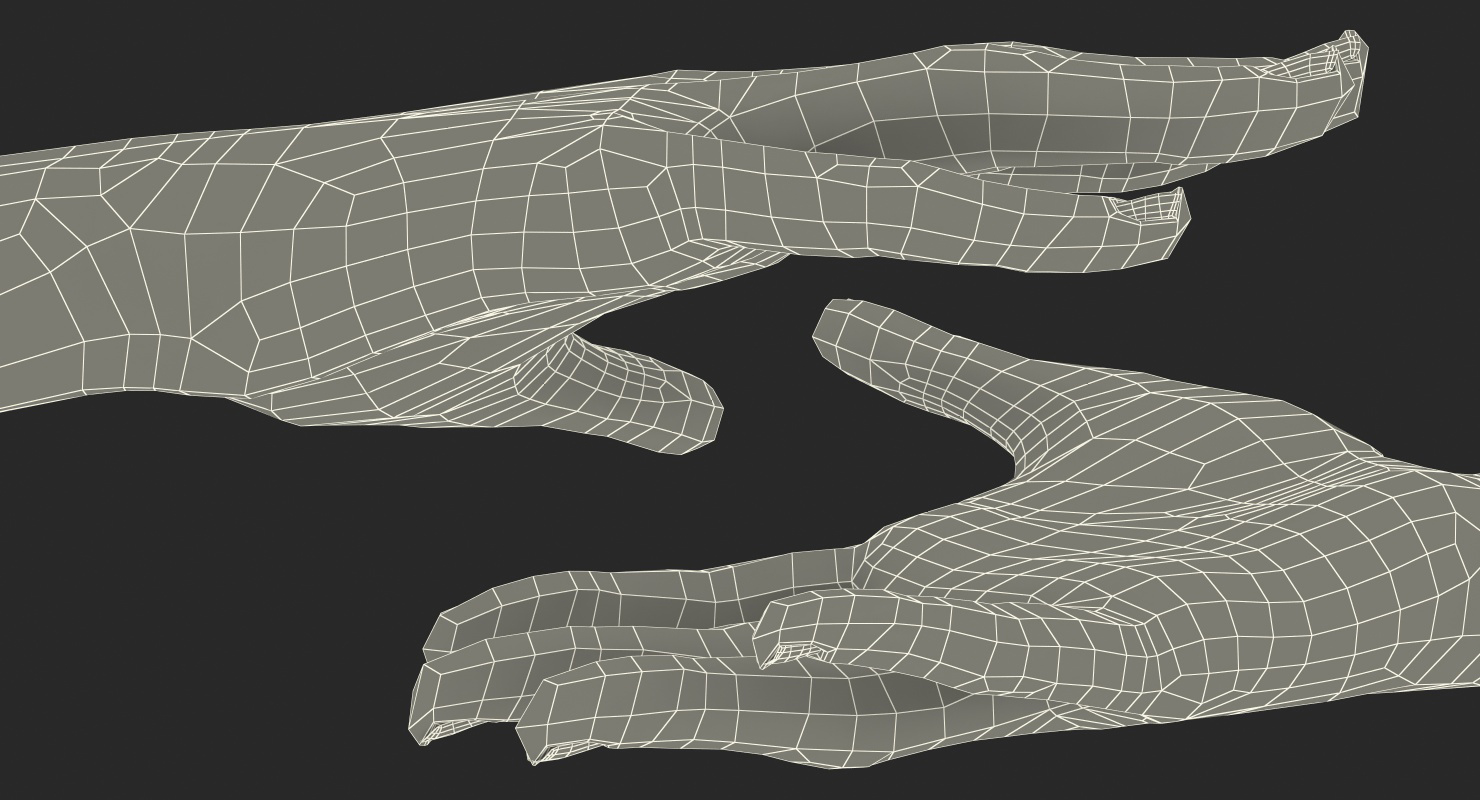 Australoid Female Hand 3D