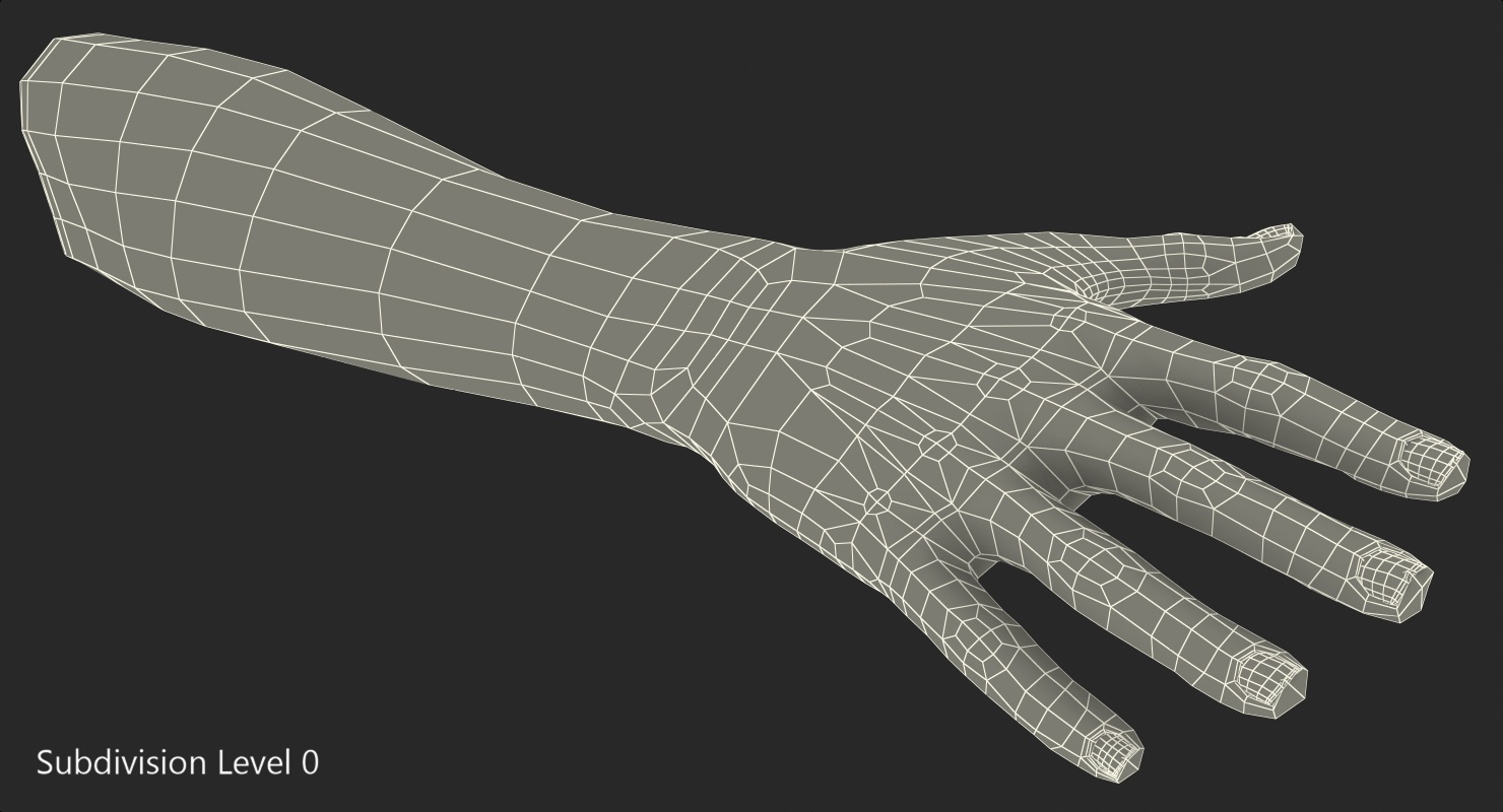 Australoid Female Hand 3D