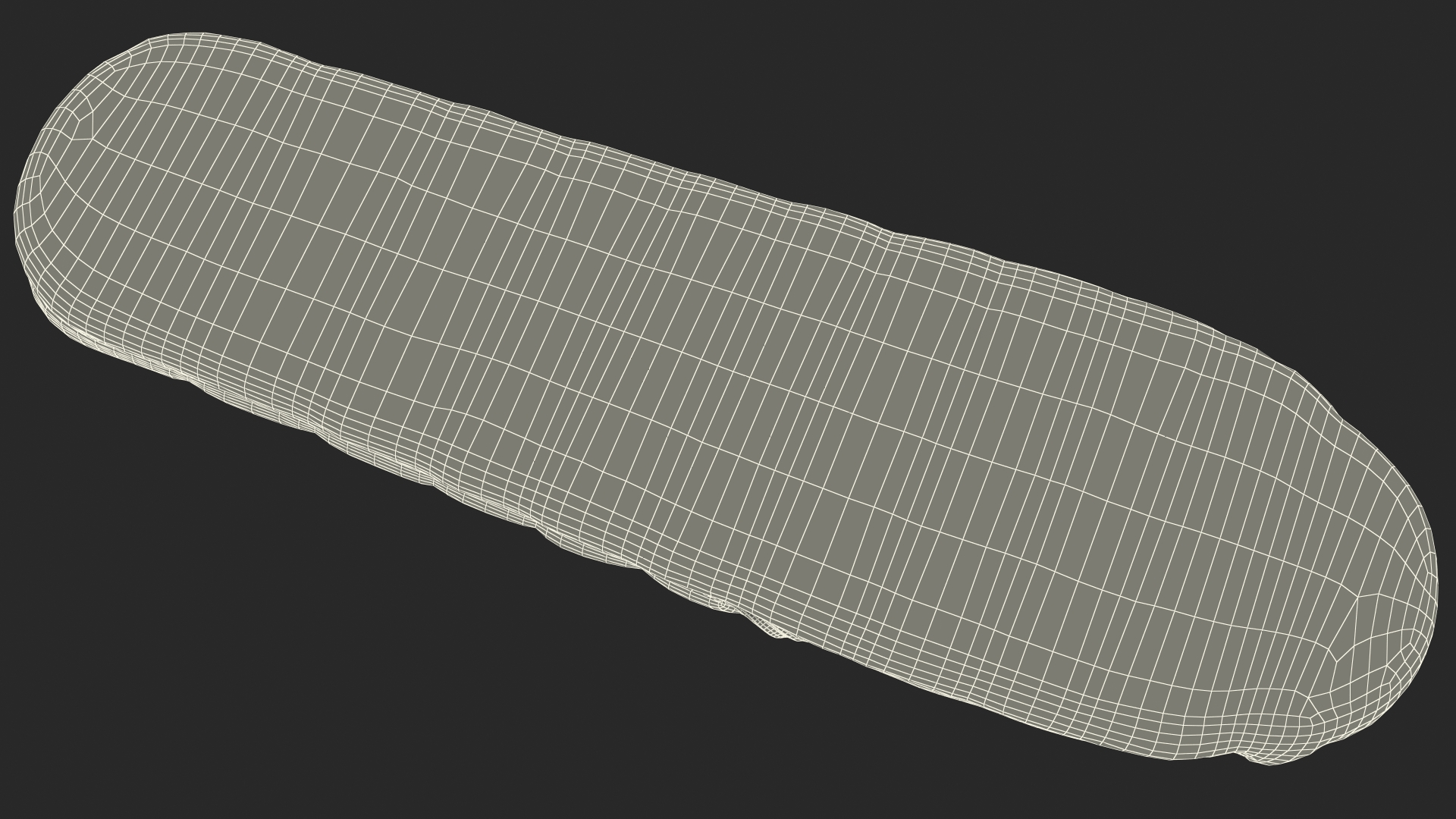 3D Deployed Sleeping Bag