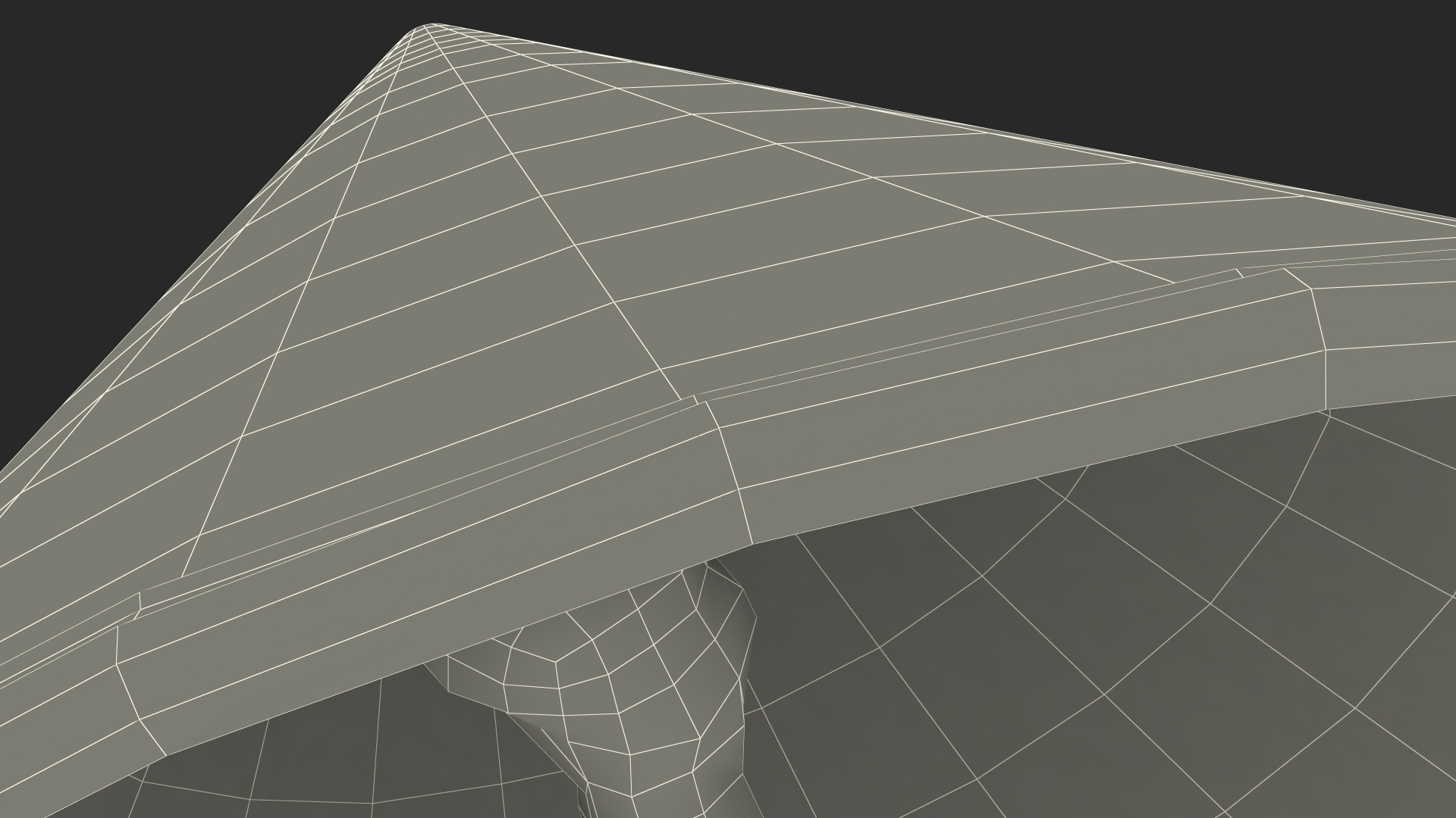 3D Traditional Asian Rice Hat