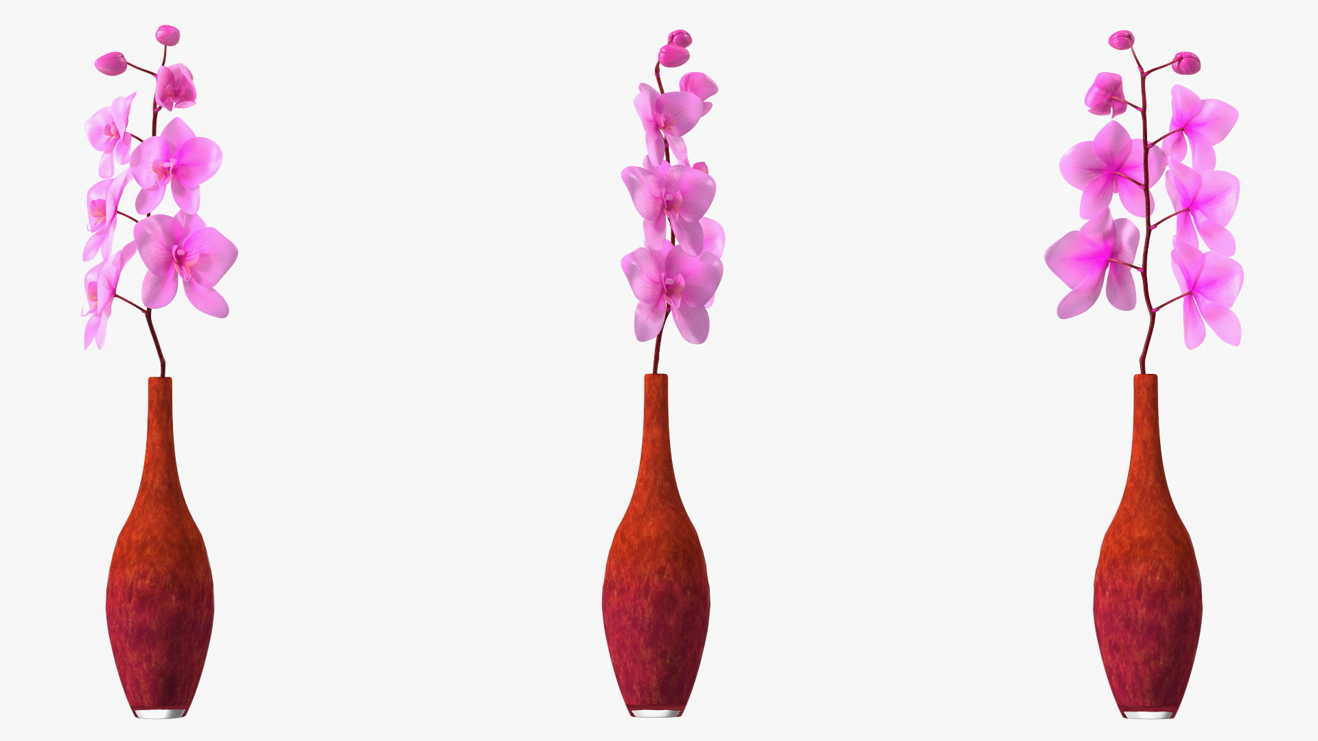 3D Small Pink Orchid in Glass Vase