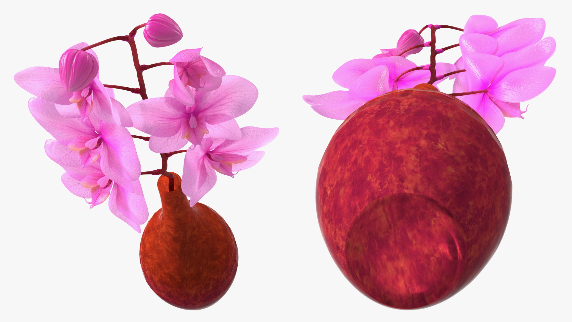 3D Small Pink Orchid in Glass Vase