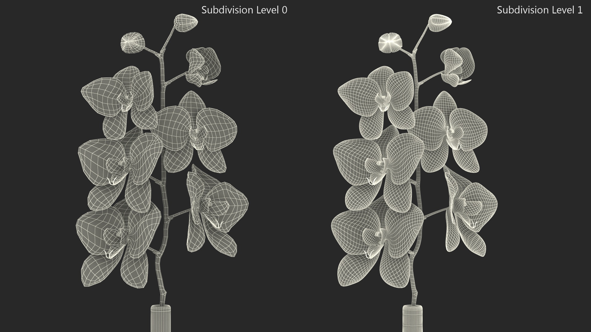 3D Small Pink Orchid in Glass Vase