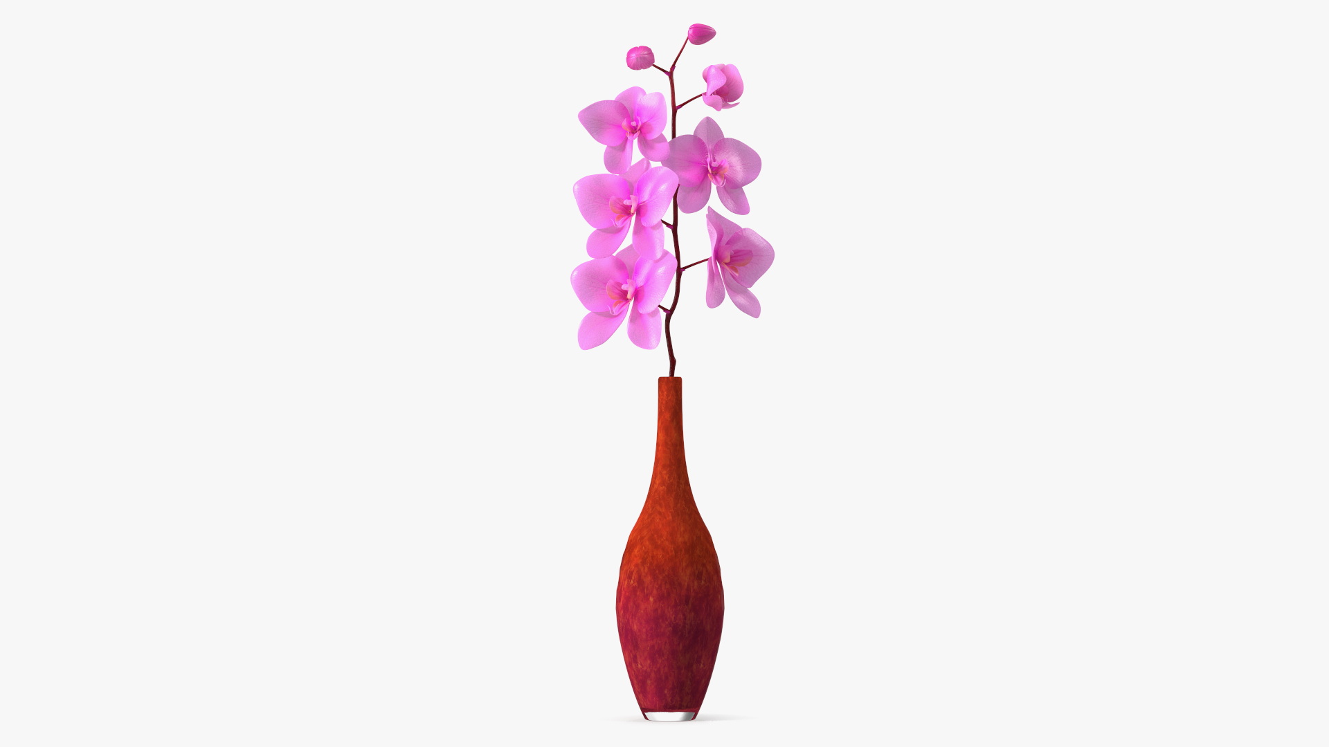 3D Small Pink Orchid in Glass Vase