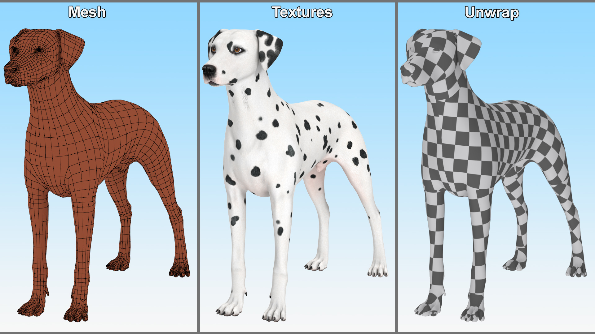 Dalmatian Dog Rigged for Cinema 4D 3D model