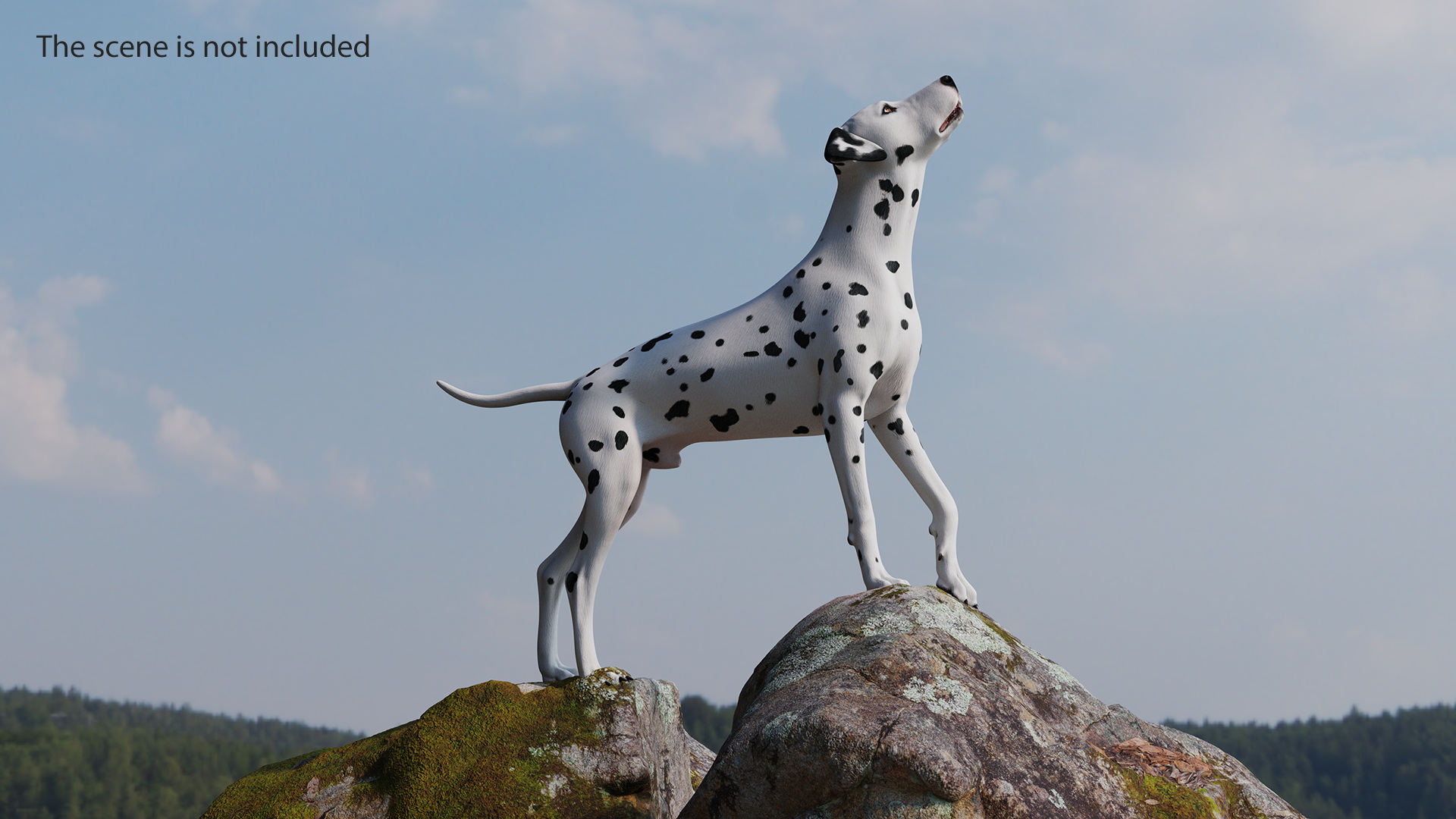 Dalmatian Dog Rigged for Cinema 4D 3D model