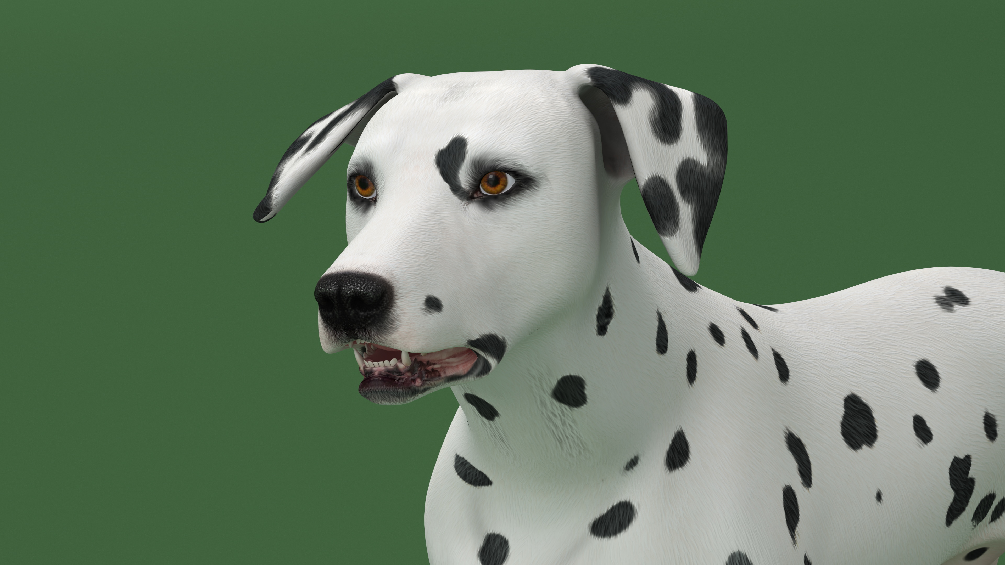 Dalmatian Dog Rigged for Cinema 4D 3D model