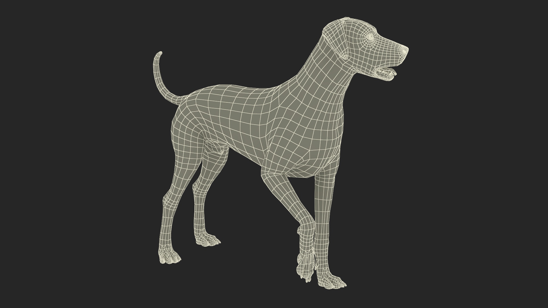 Dalmatian Dog Rigged for Cinema 4D 3D model