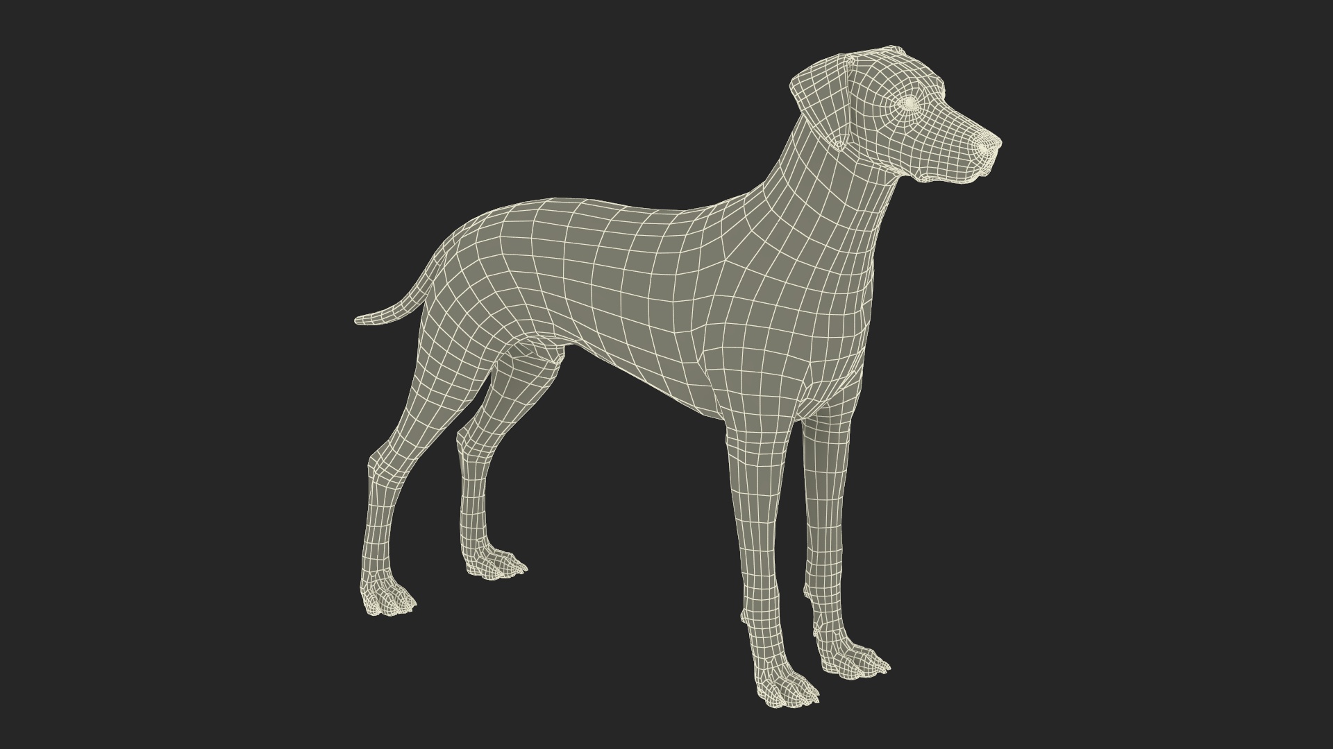 Dalmatian Dog Rigged for Cinema 4D 3D model