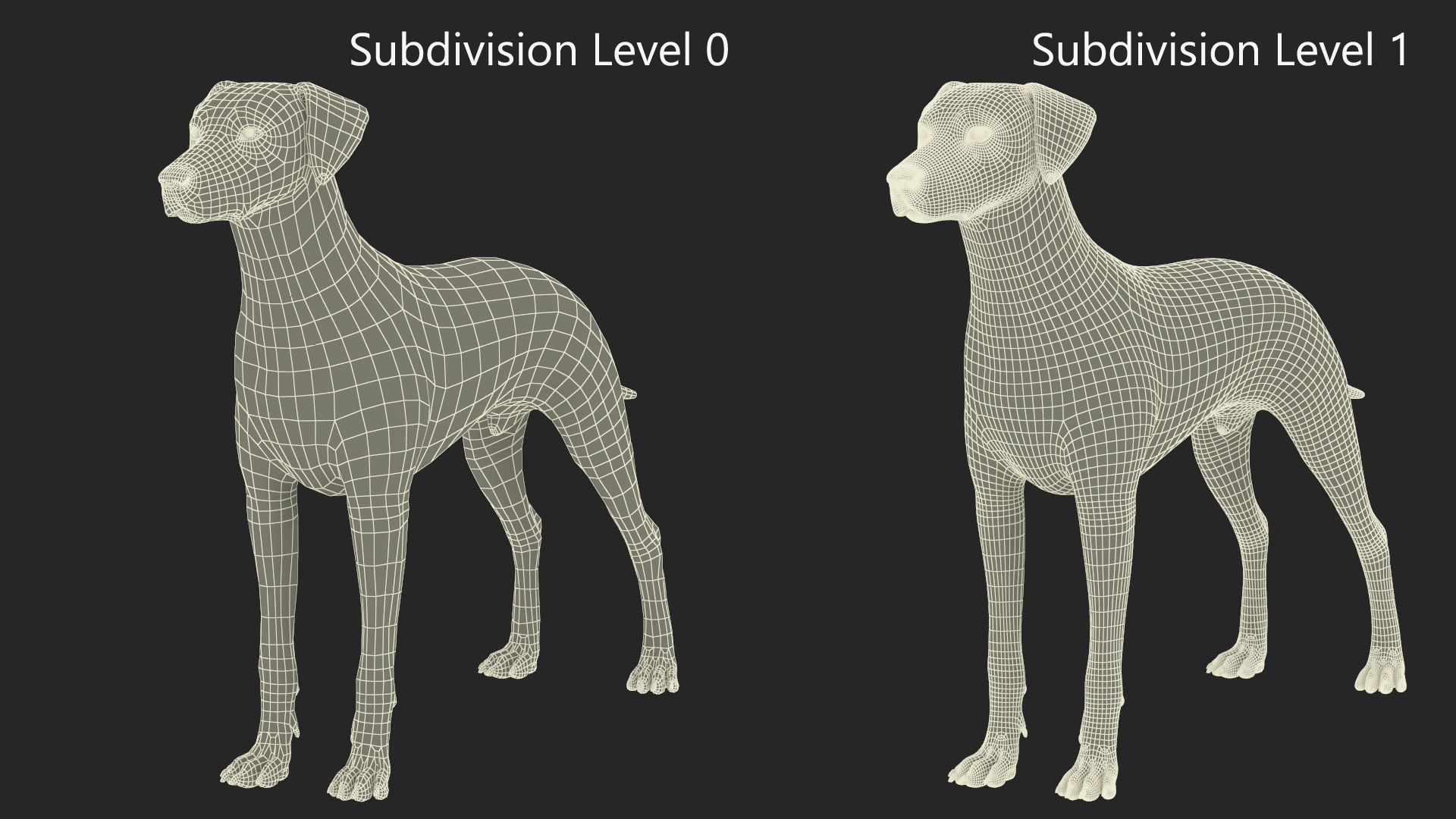 Dalmatian Dog Rigged for Cinema 4D 3D model
