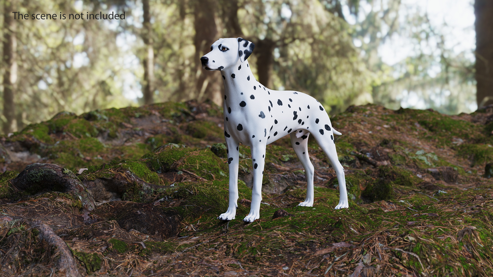 Dalmatian Dog Rigged for Cinema 4D 3D model