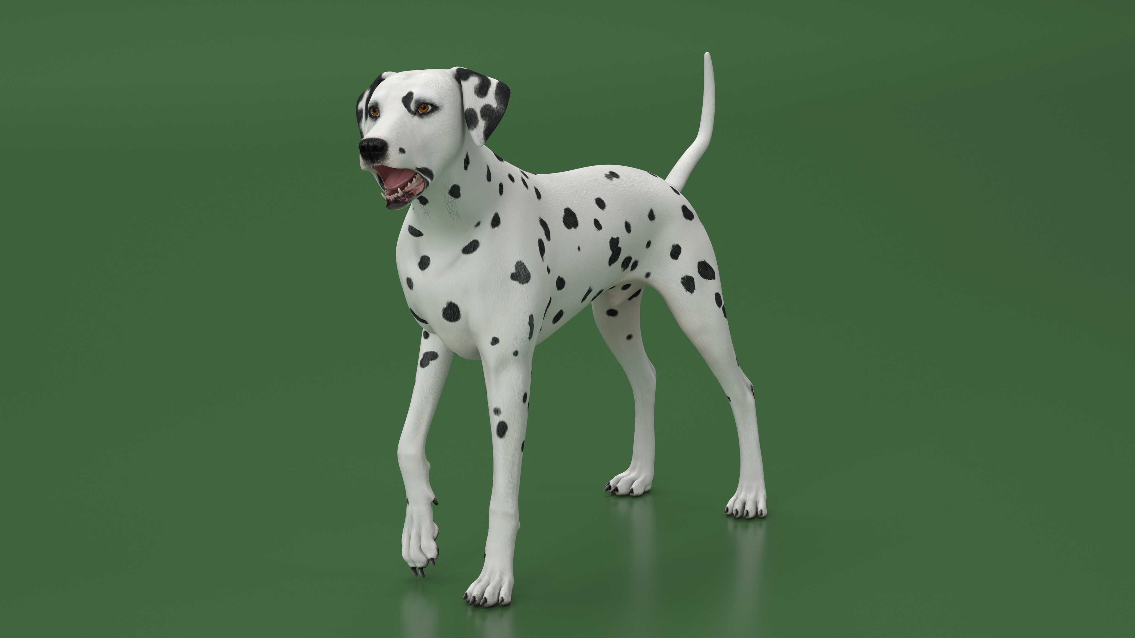 Dalmatian Dog Rigged for Cinema 4D 3D model