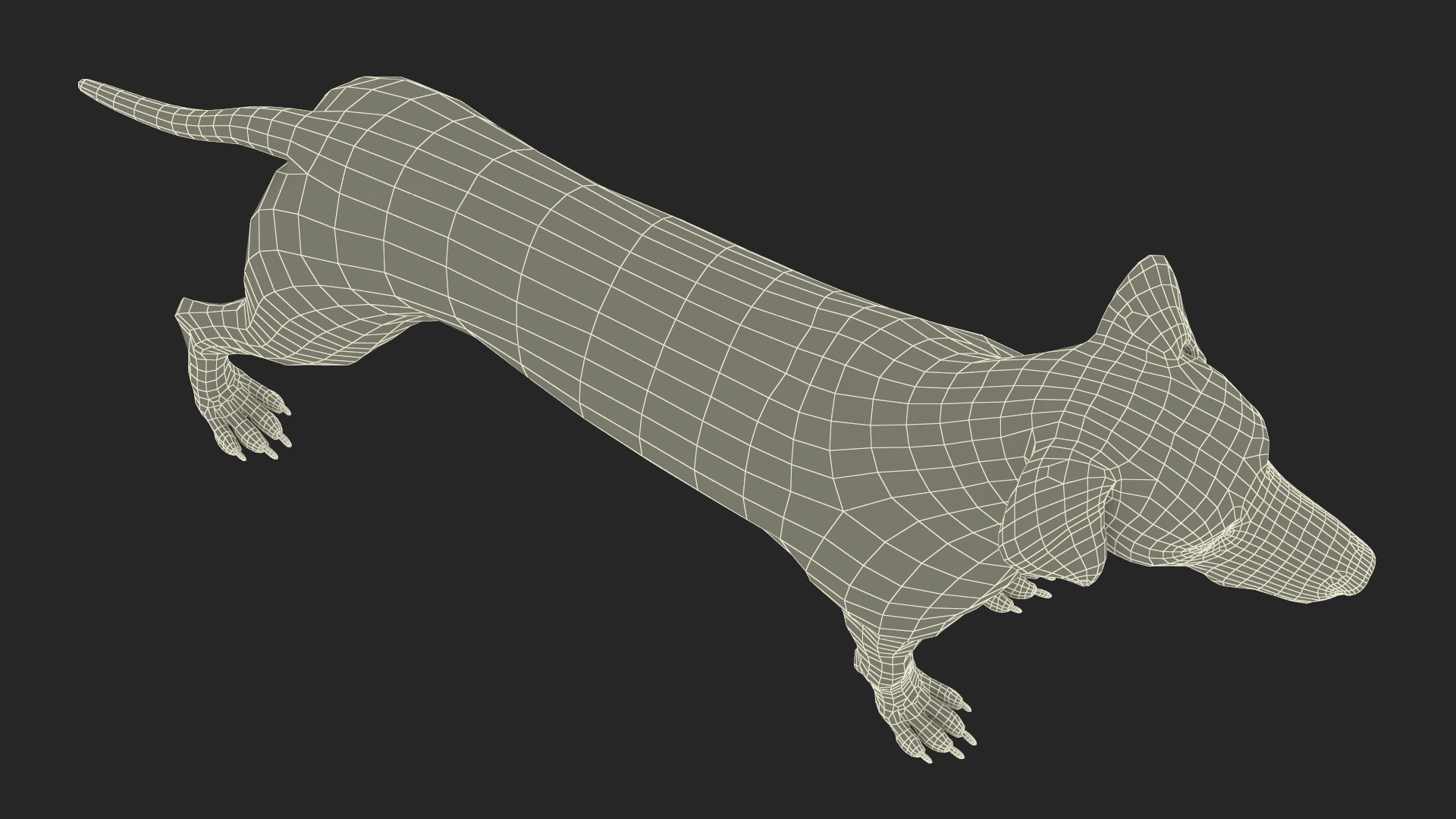 Dalmatian Dog Rigged for Cinema 4D 3D model