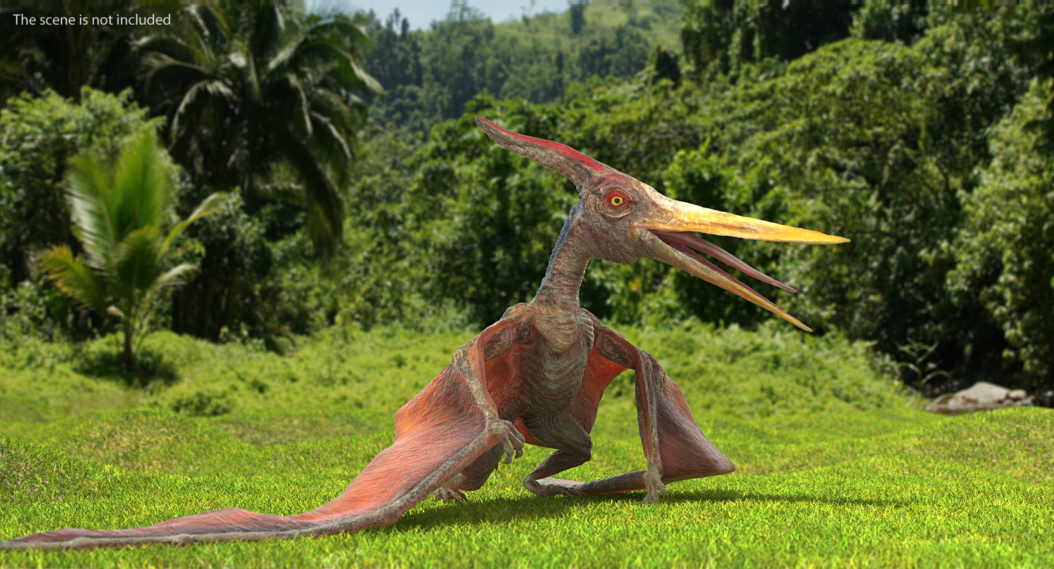 Pteranodon Standing Pose 3D model