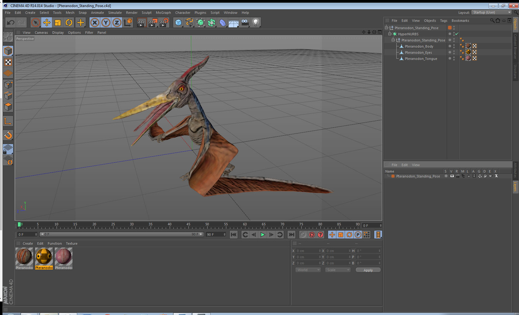 Pteranodon Standing Pose 3D model