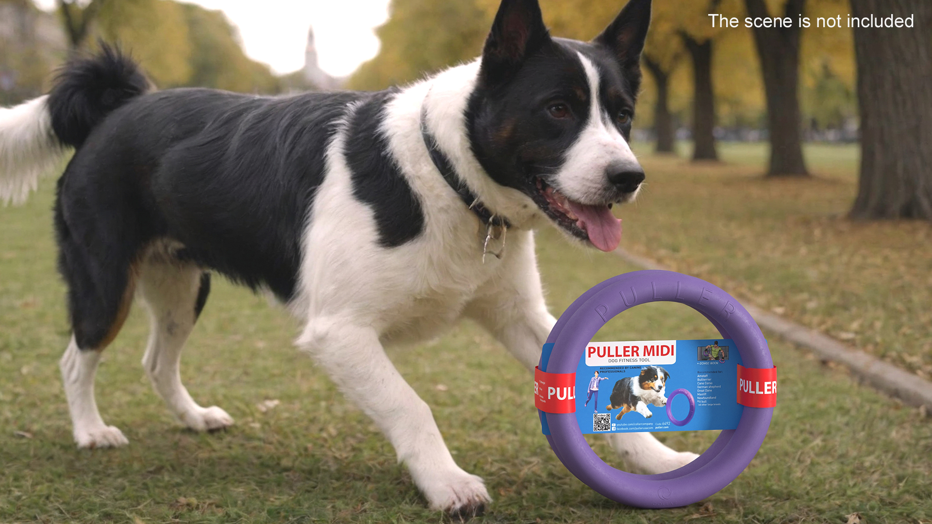 Interactive Dog Toy Puller Midi Package 3D model