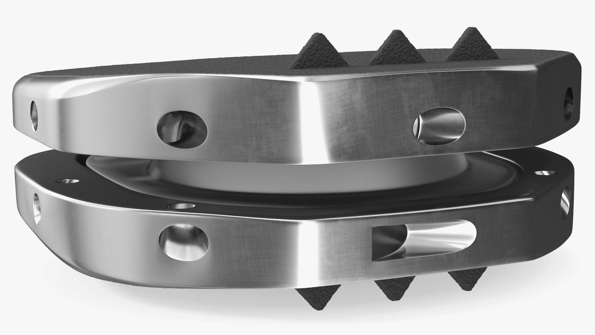 3D Intervertebral Disc Implant Installed on Spine