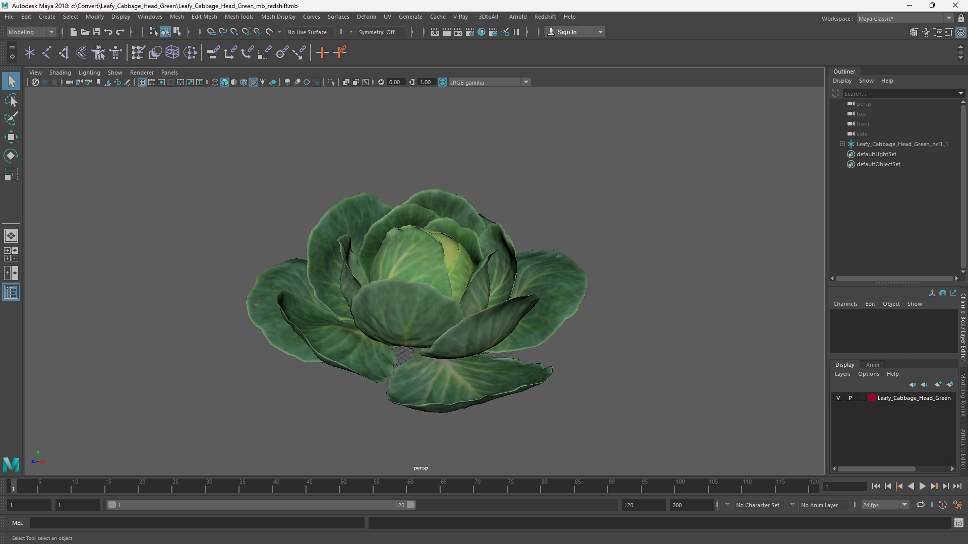 Leafy Cabbage Head Green - view 11