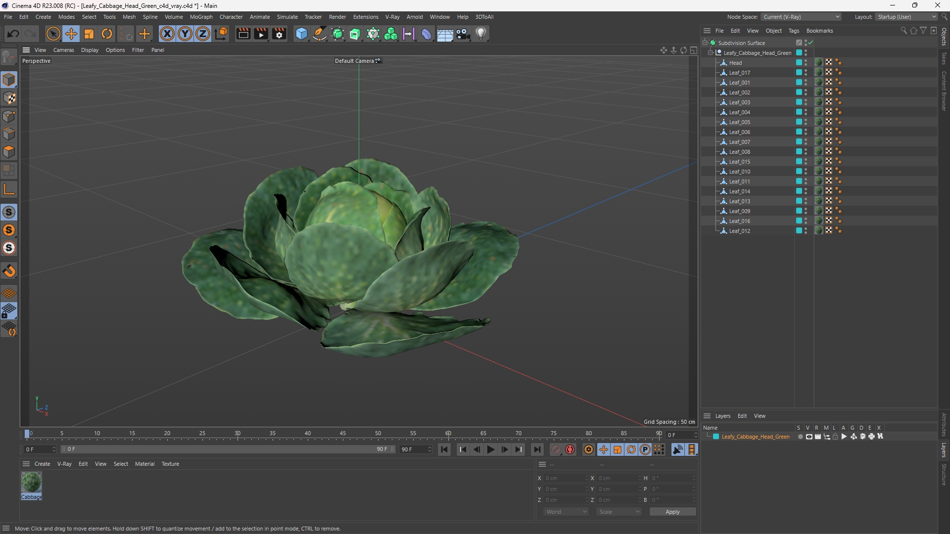 Leafy Cabbage Head Green - view 12
