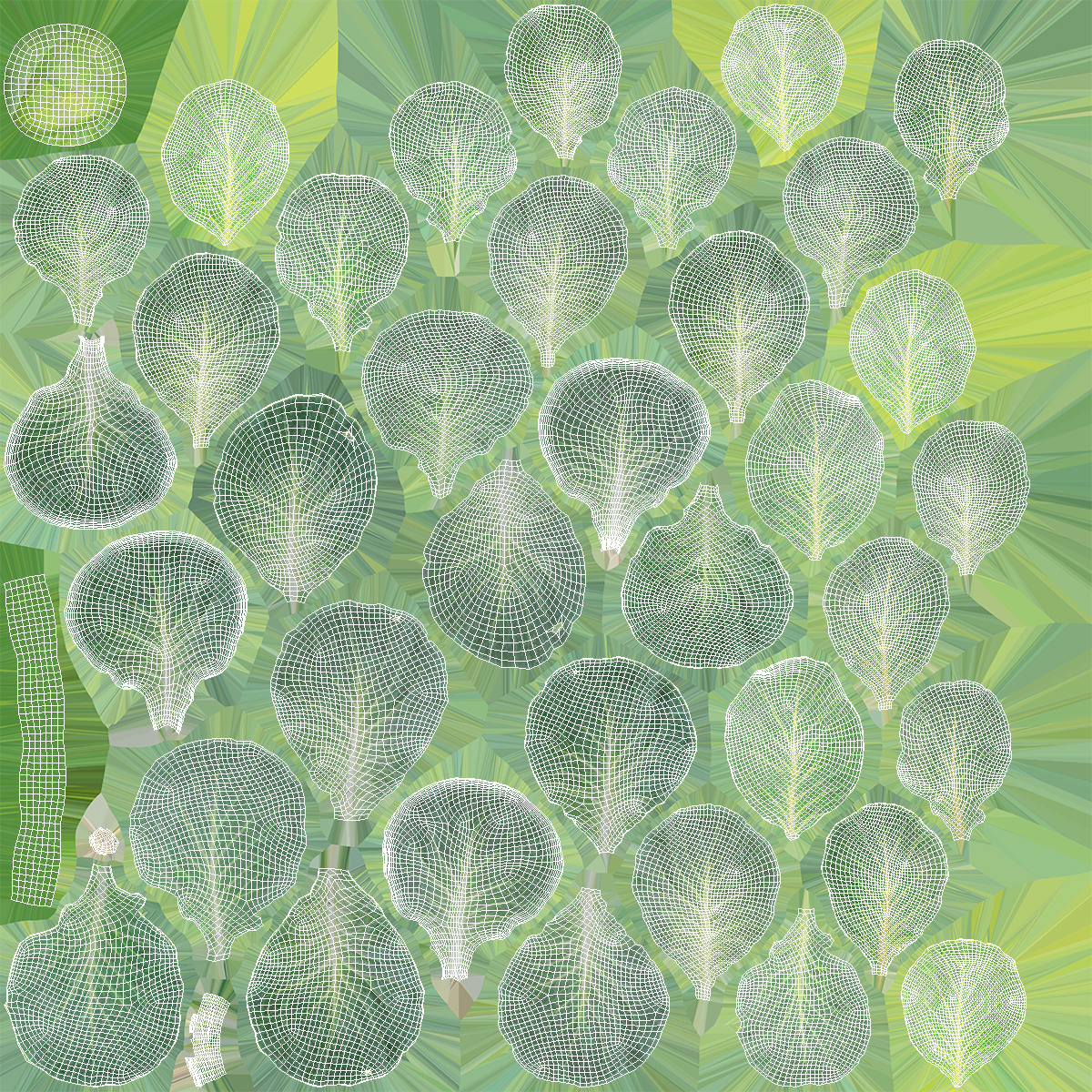 Leafy Cabbage Head Green - view 7