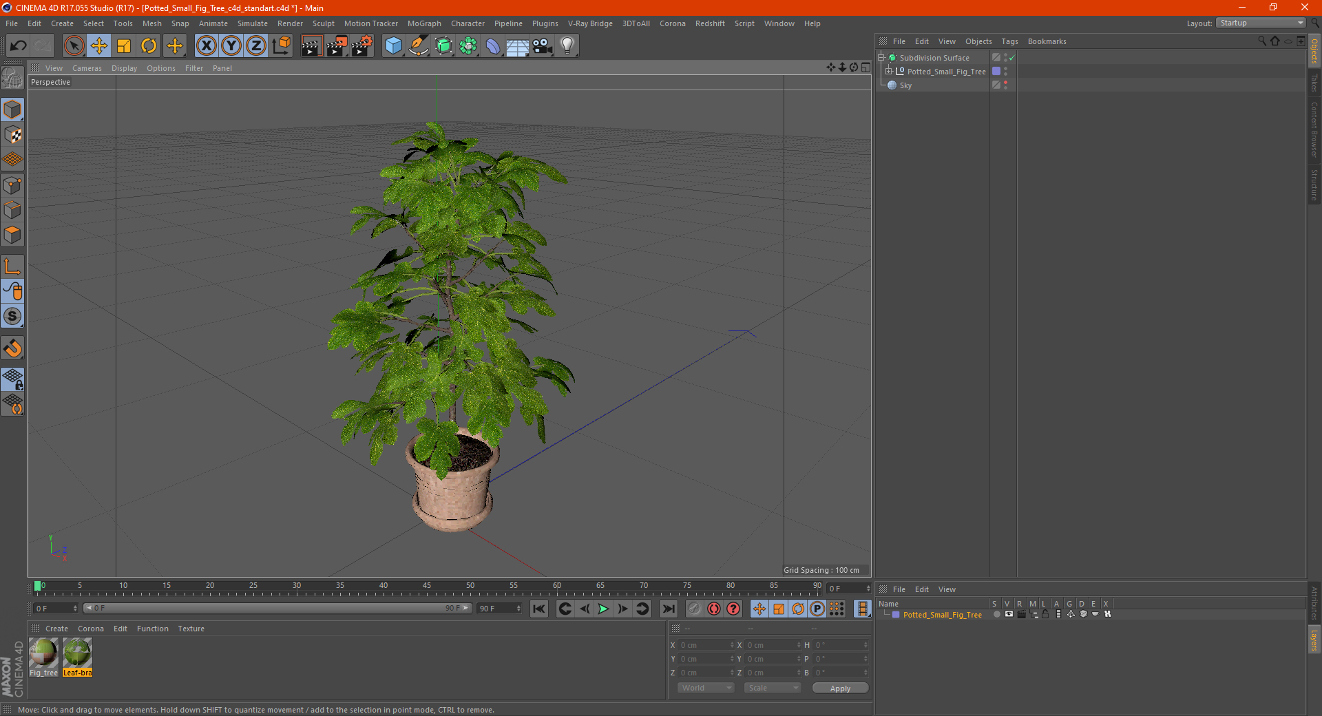 3D Potted Small Fig Tree