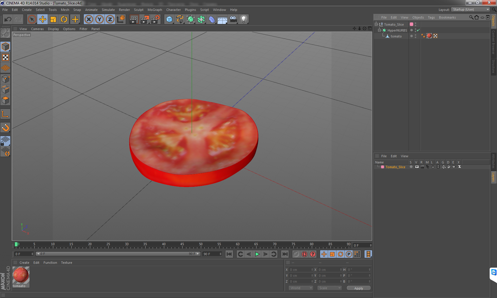 Tomato Slice 3D