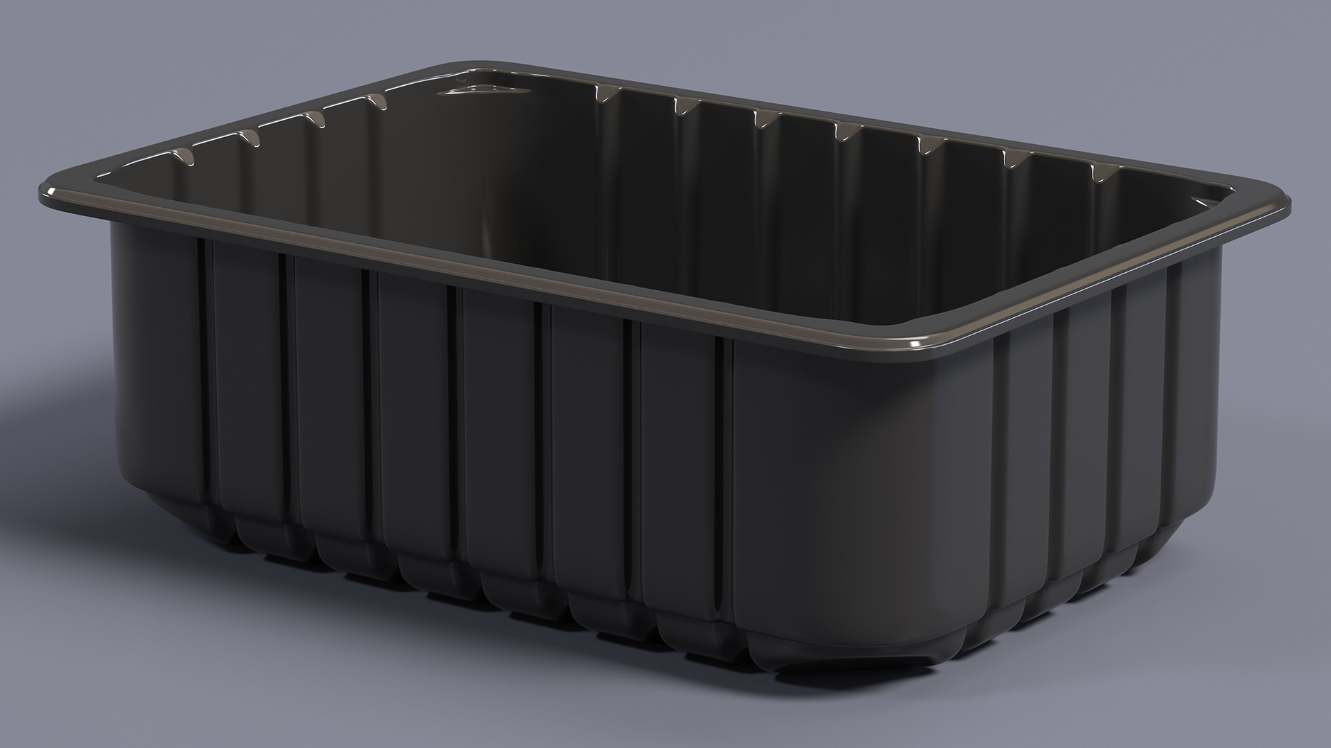 3D model Disposable Food Container without Lid 21x15cm