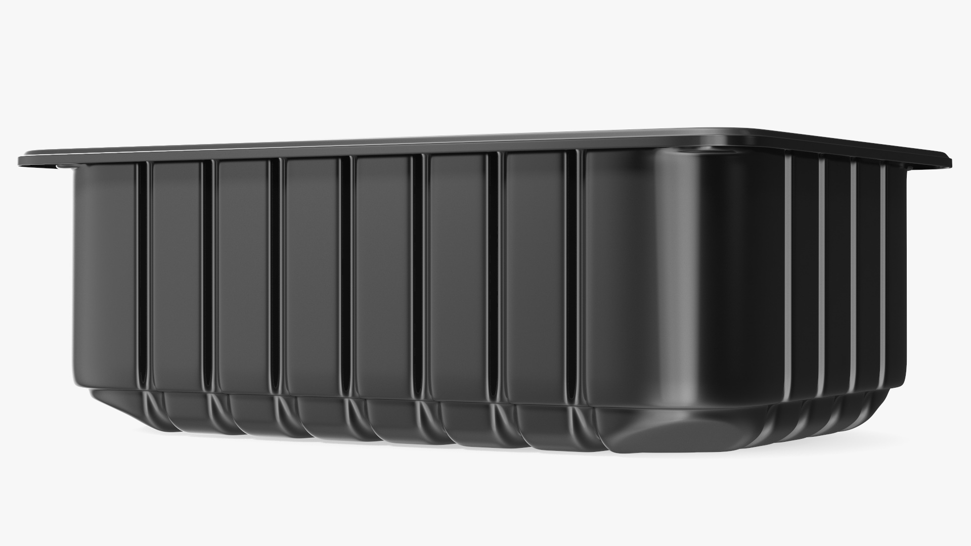 3D model Disposable Food Container without Lid 21x15cm