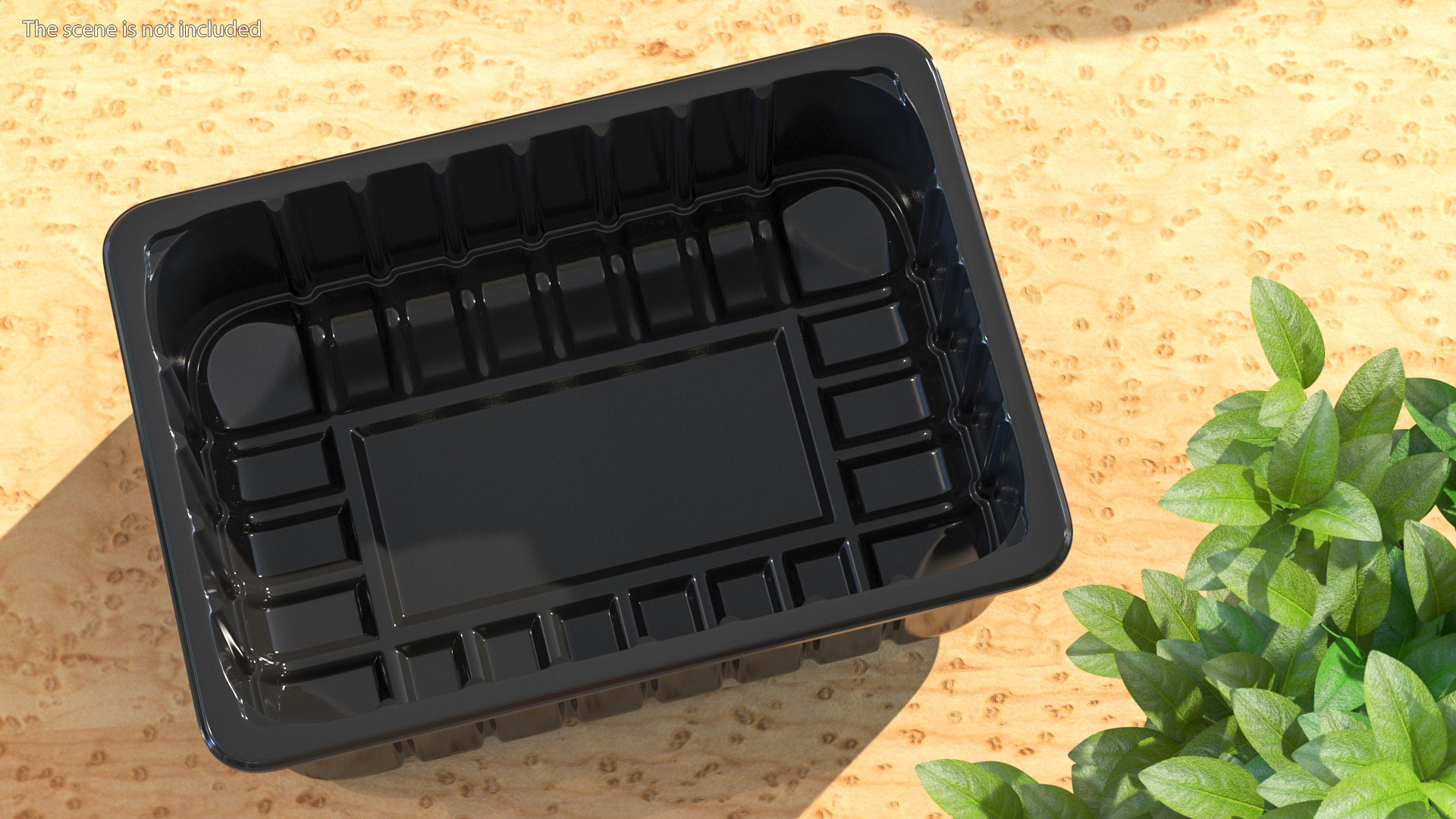 3D model Disposable Food Container without Lid 21x15cm