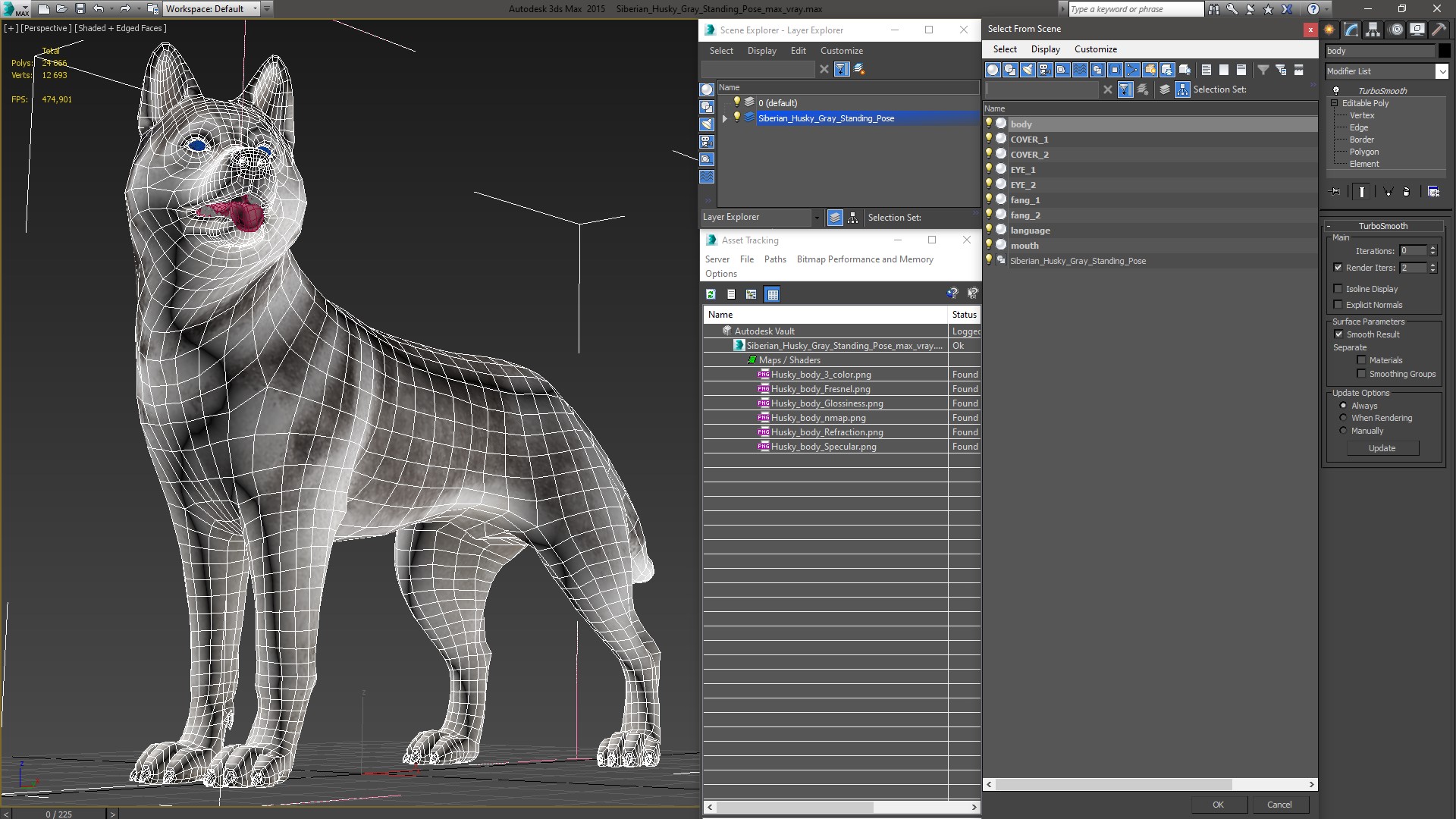 3D Siberian Husky Gray Standing Pose model