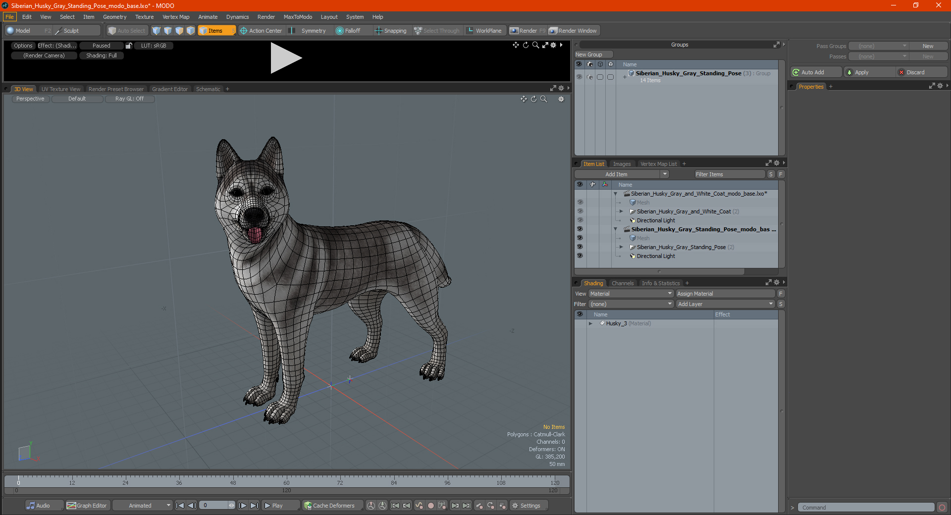 3D Siberian Husky Gray Standing Pose model