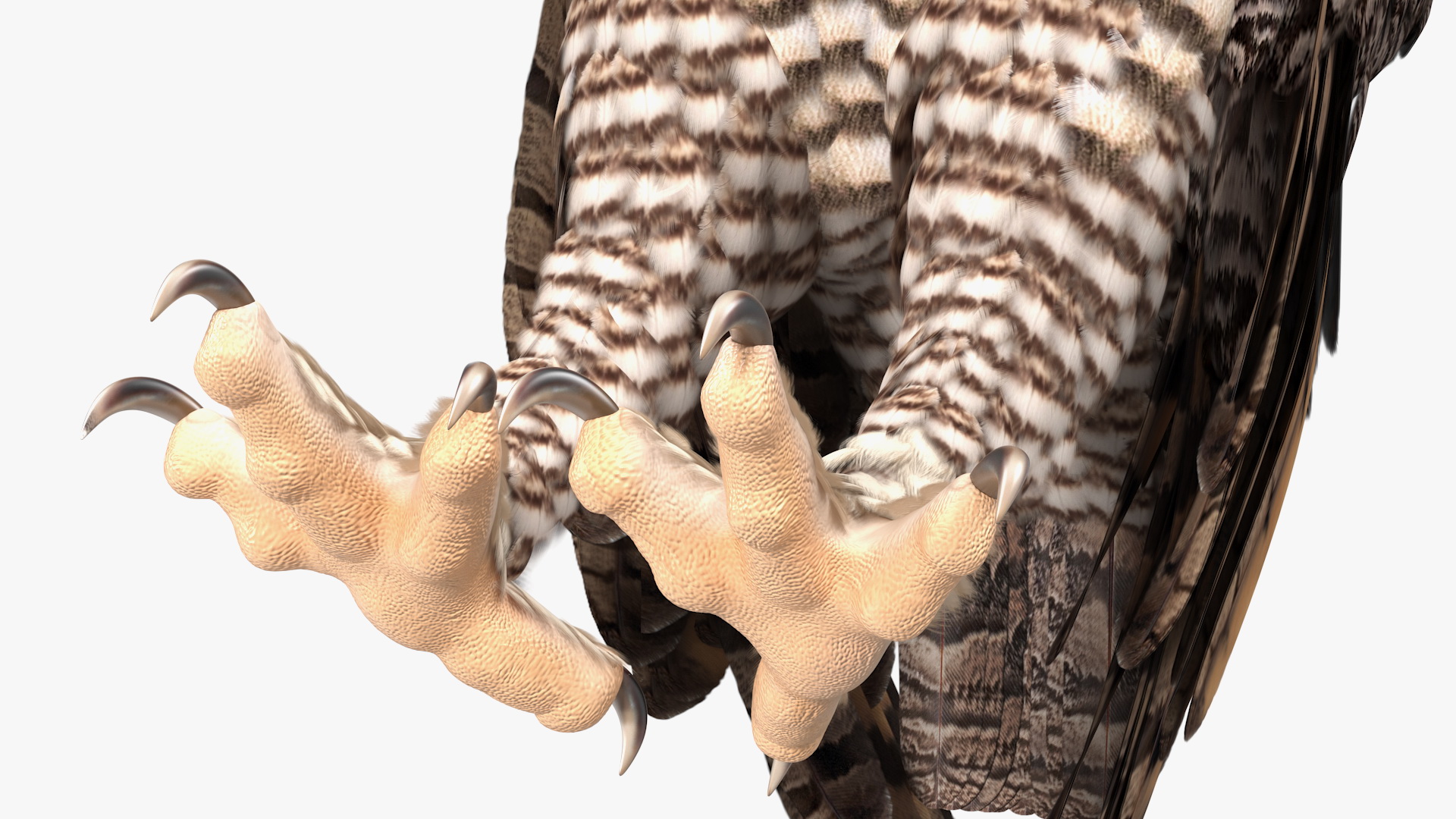 3D model Great Horned Owl Standing Pose