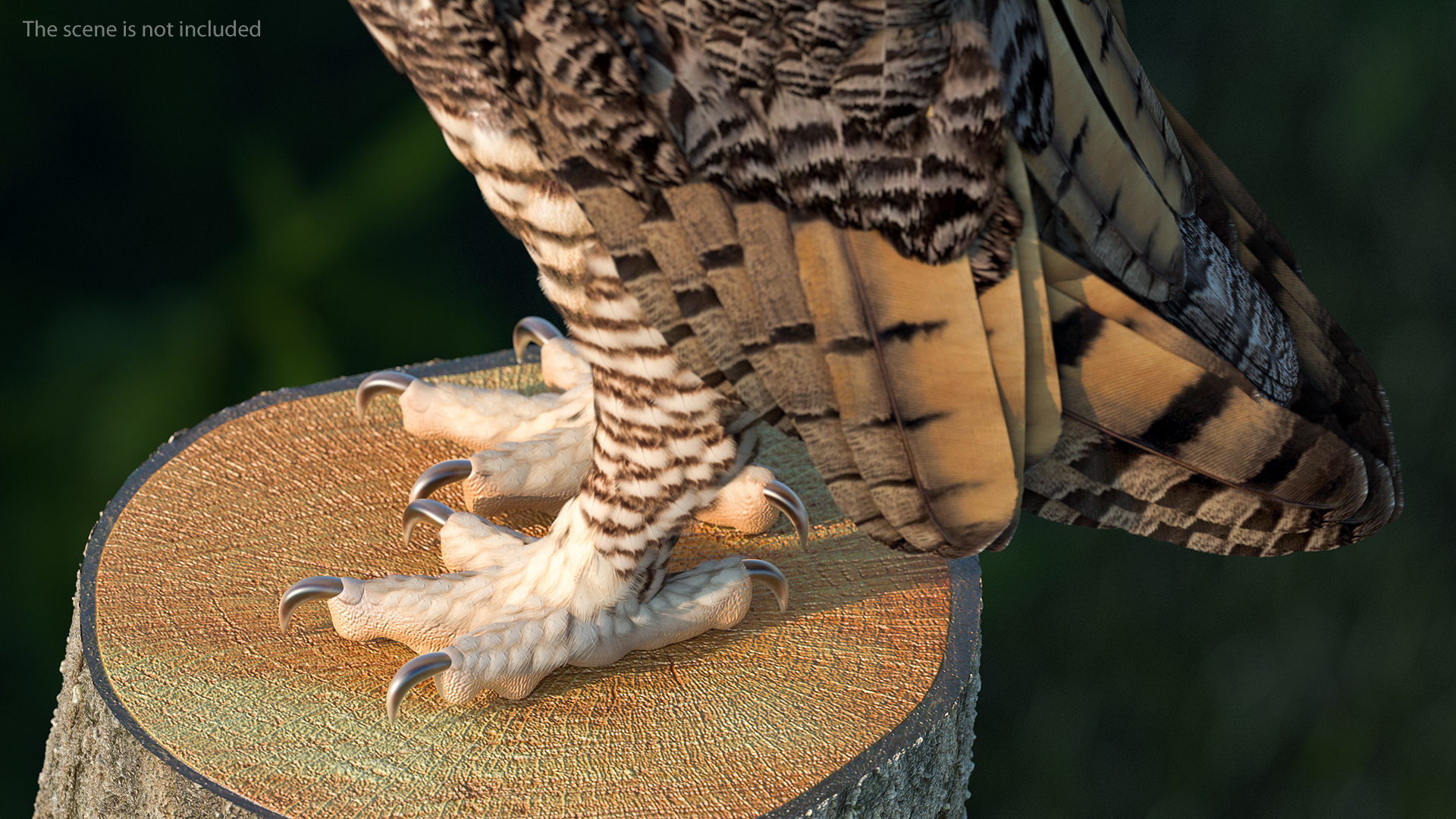 3D model Great Horned Owl Standing Pose