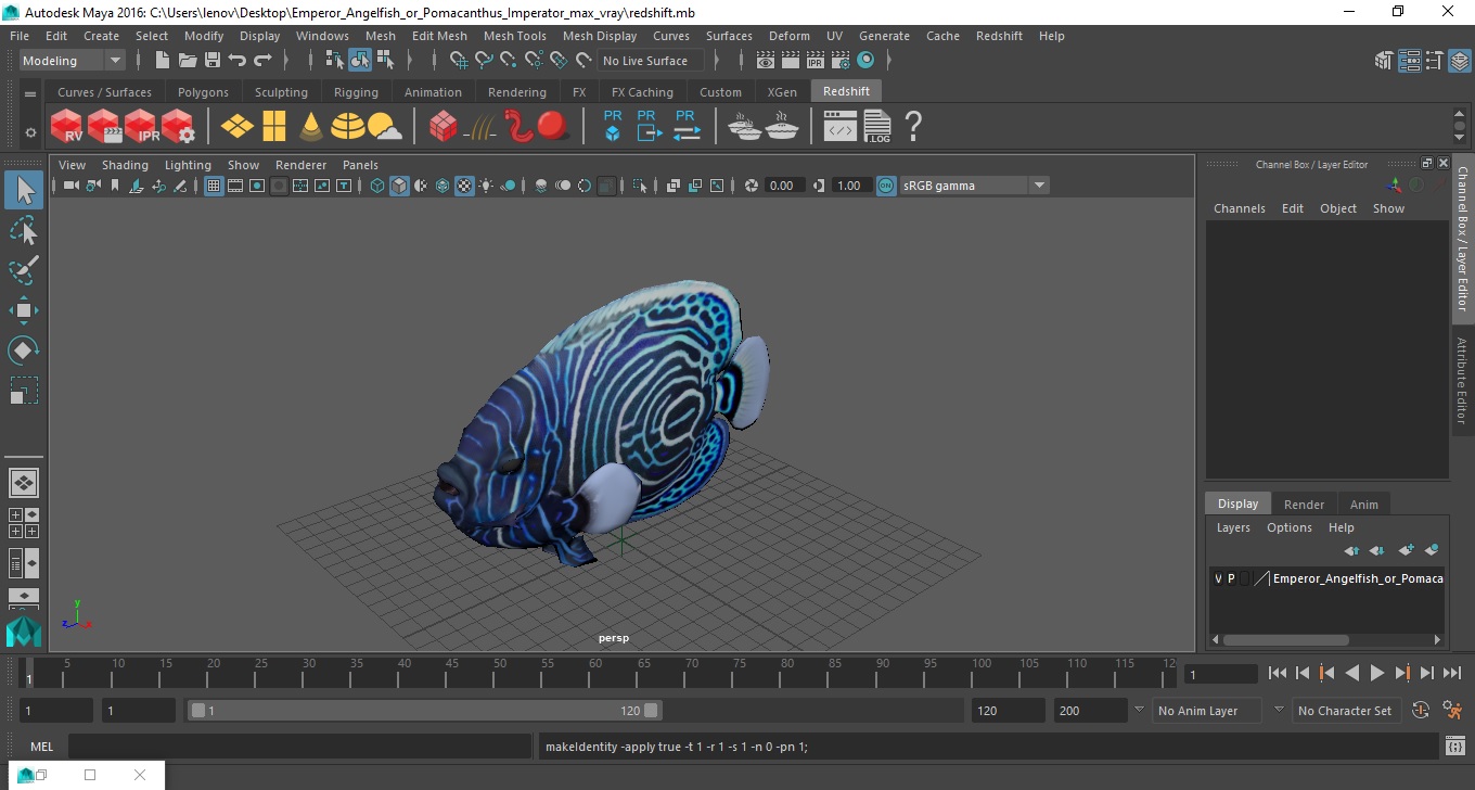 Emperor Angelfish or Pomacanthus Imperator 3D