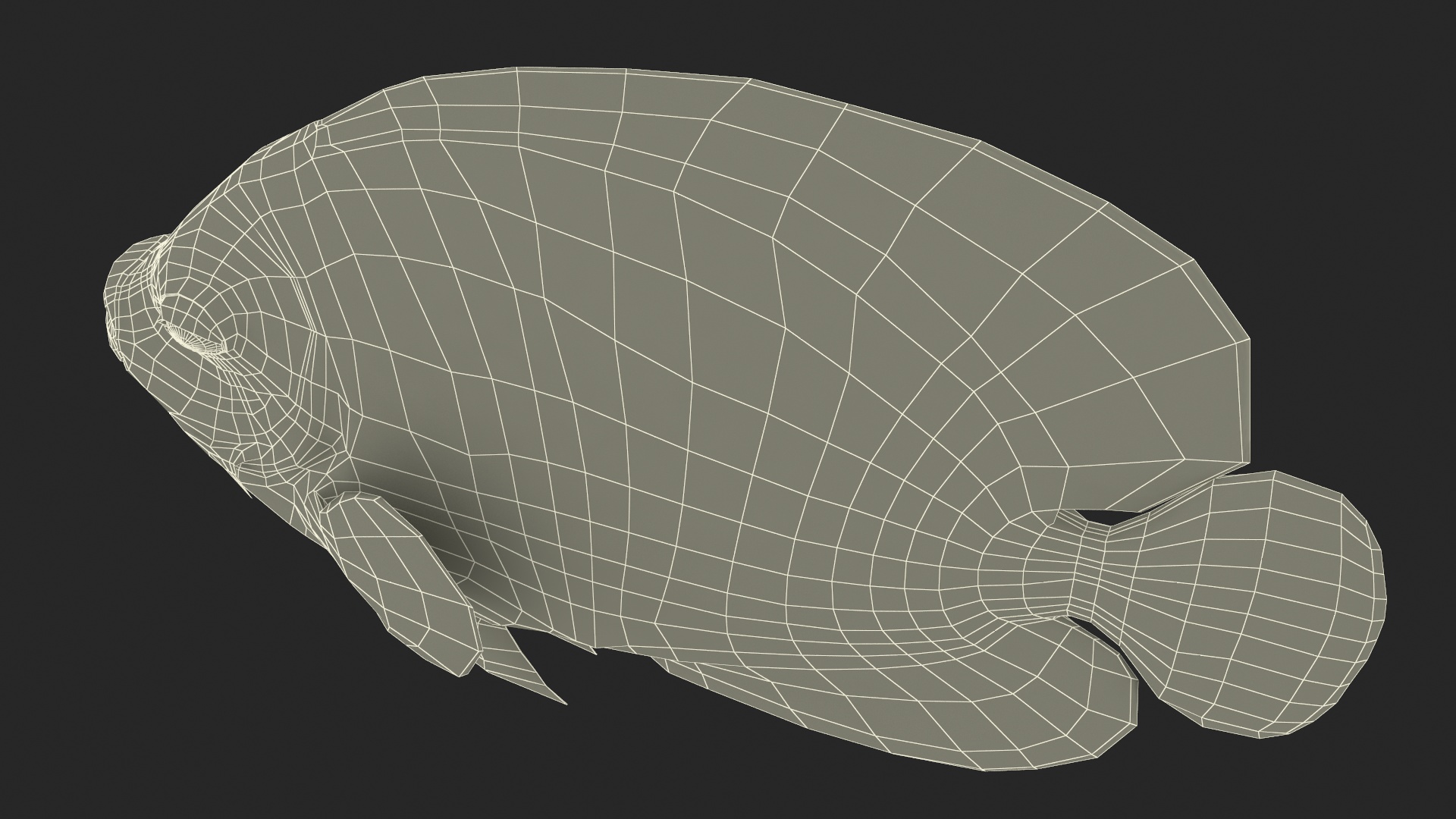 Emperor Angelfish or Pomacanthus Imperator 3D
