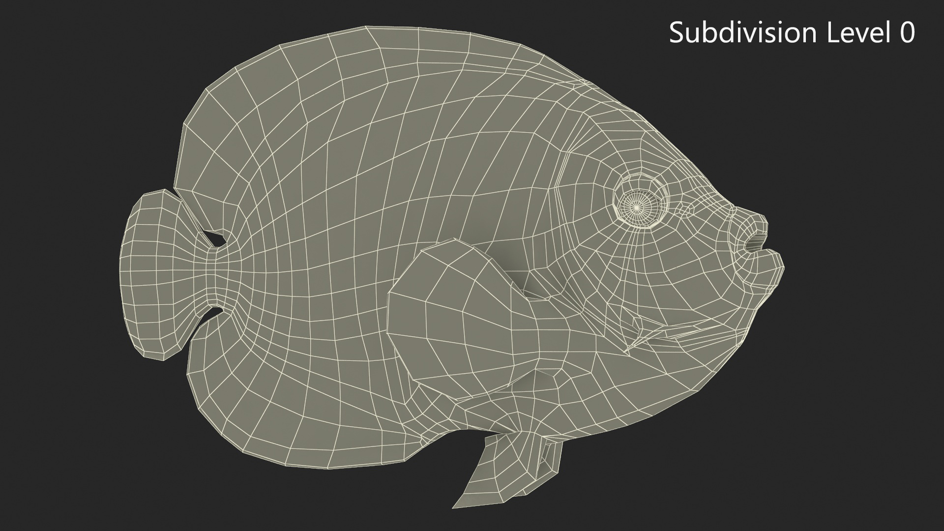 Emperor Angelfish or Pomacanthus Imperator 3D