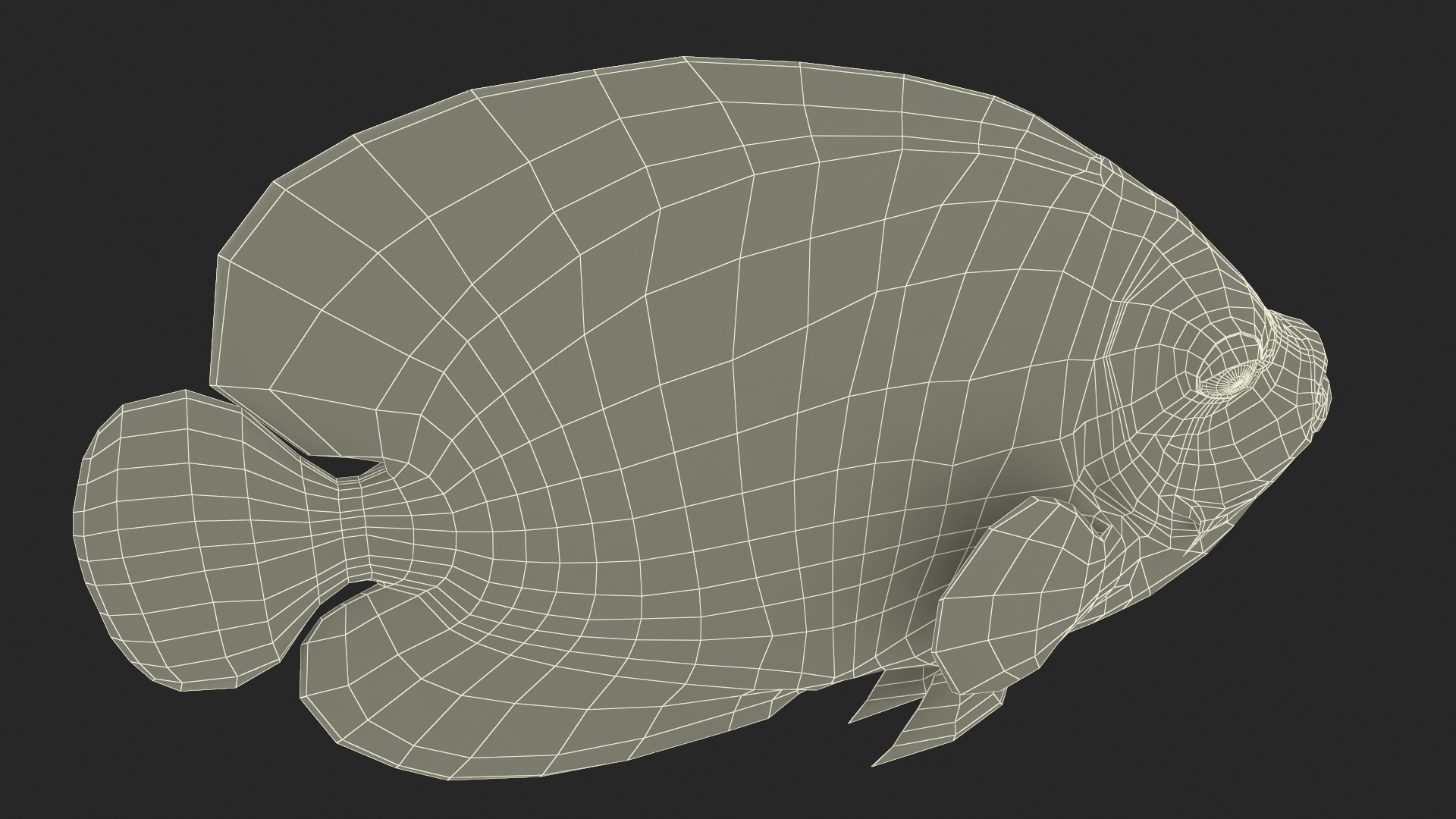 Emperor Angelfish or Pomacanthus Imperator 3D