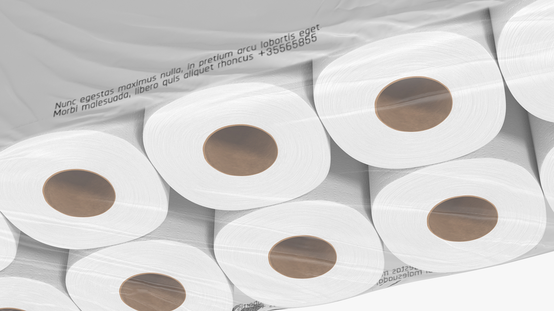 3D model Bath Tissue 20 Rolls Pack