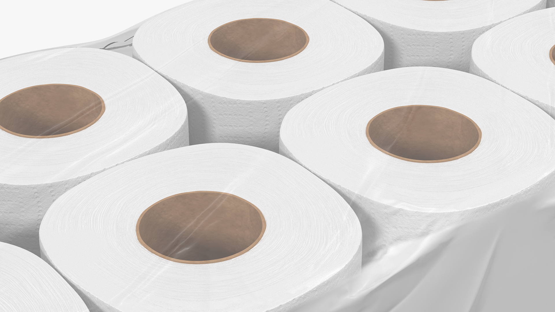 3D model Bath Tissue 20 Rolls Pack