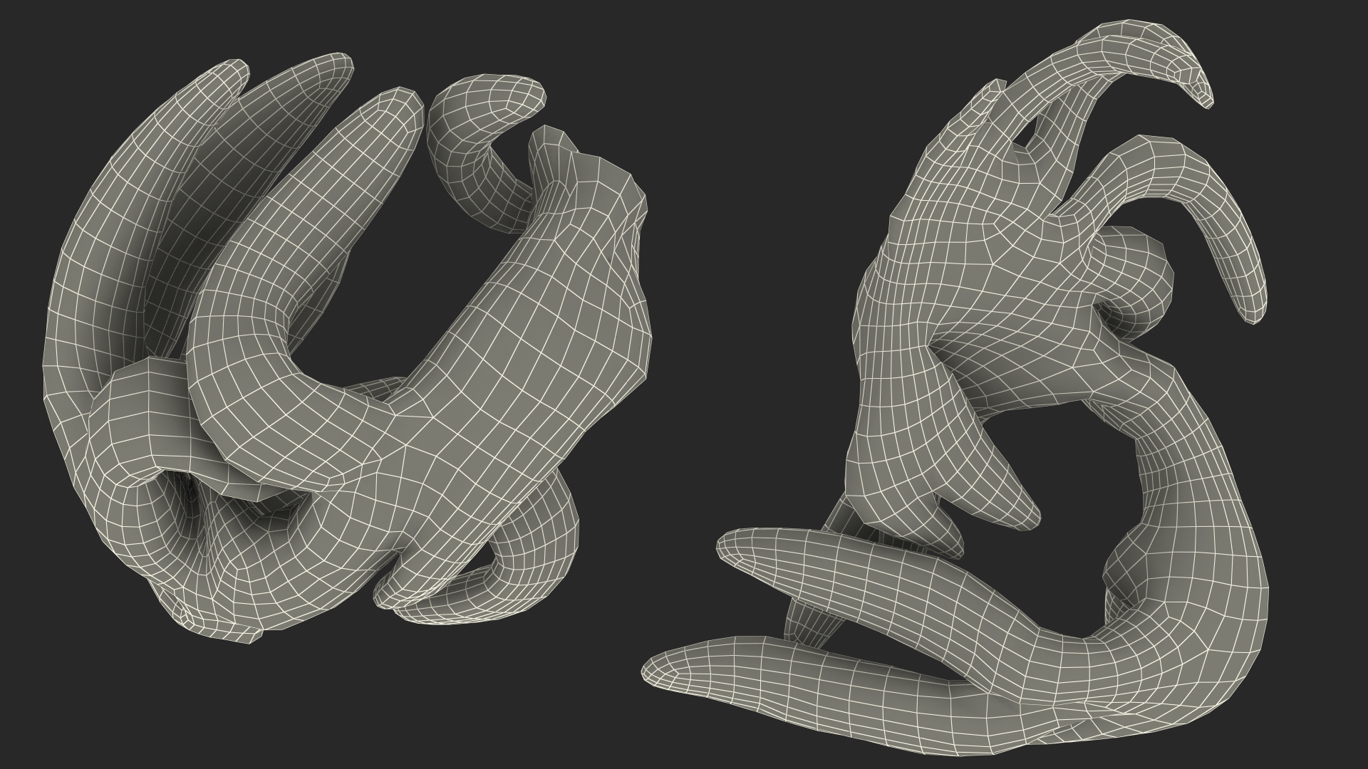 3D Frog Anatomy Complete Body Transparent Skin model
