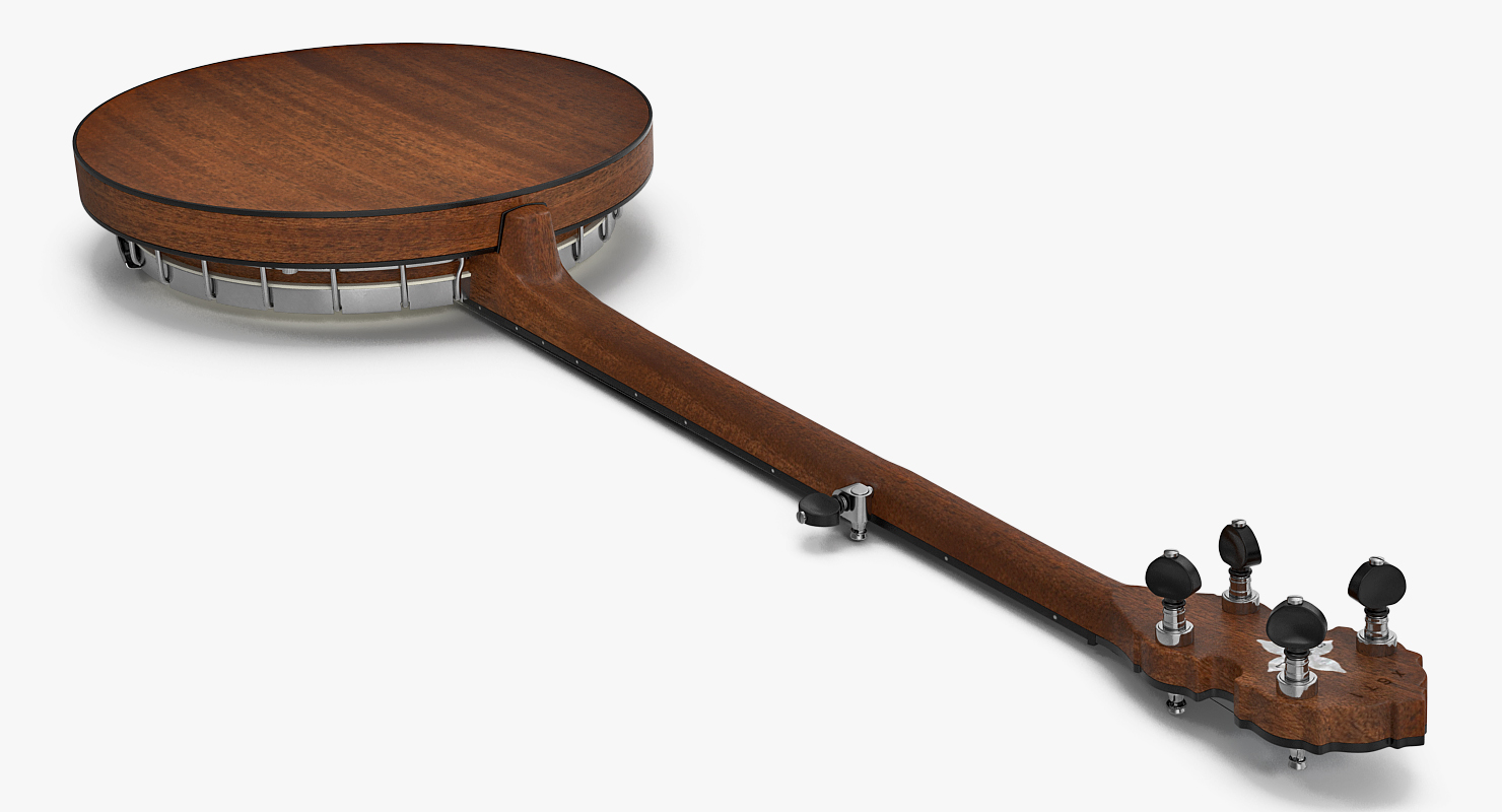 3D Julia Belle 5 String Banjo